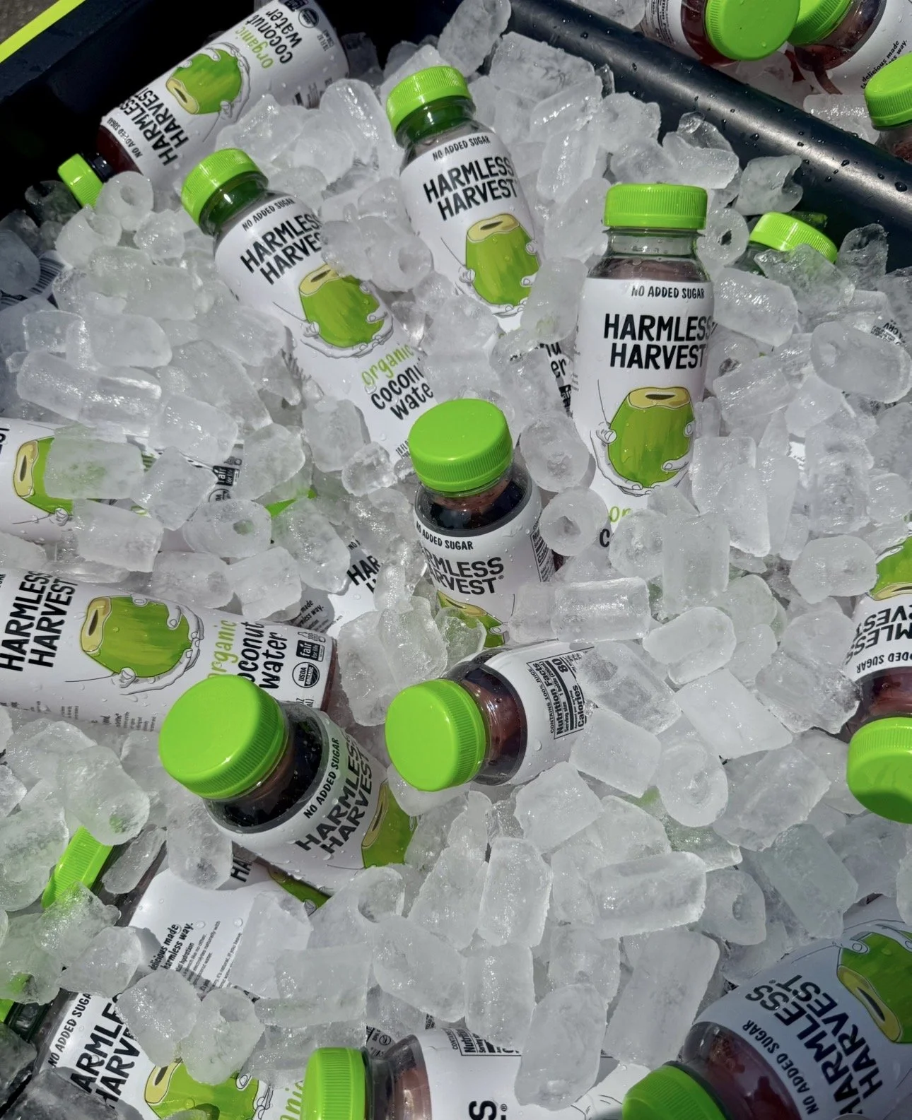 Bottles of Harmless Harvest organic coconut water chilled in ice at a sampling activation.
