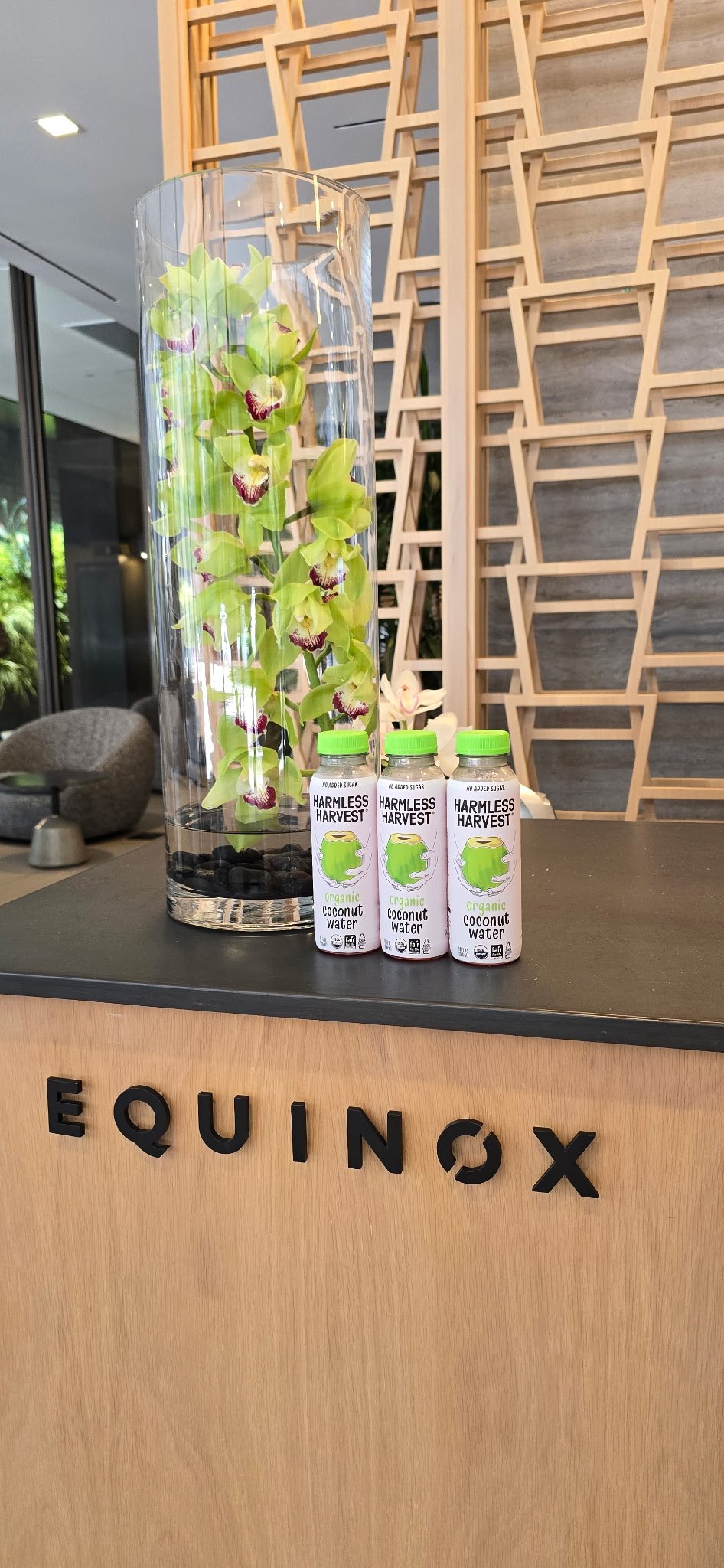 Equinox SF x HH.jpg