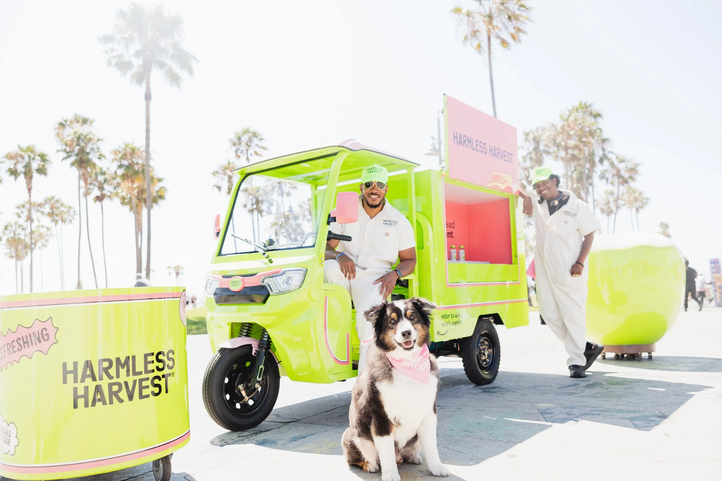 Two men dressed in white, one sitting on a bright green electric vehicle with a pink sign that reads "Harmless Harvest," and the other standing. There is a black and tan dog with a pink bandana in the foreground. The background features tall palm trees under a bright sky.