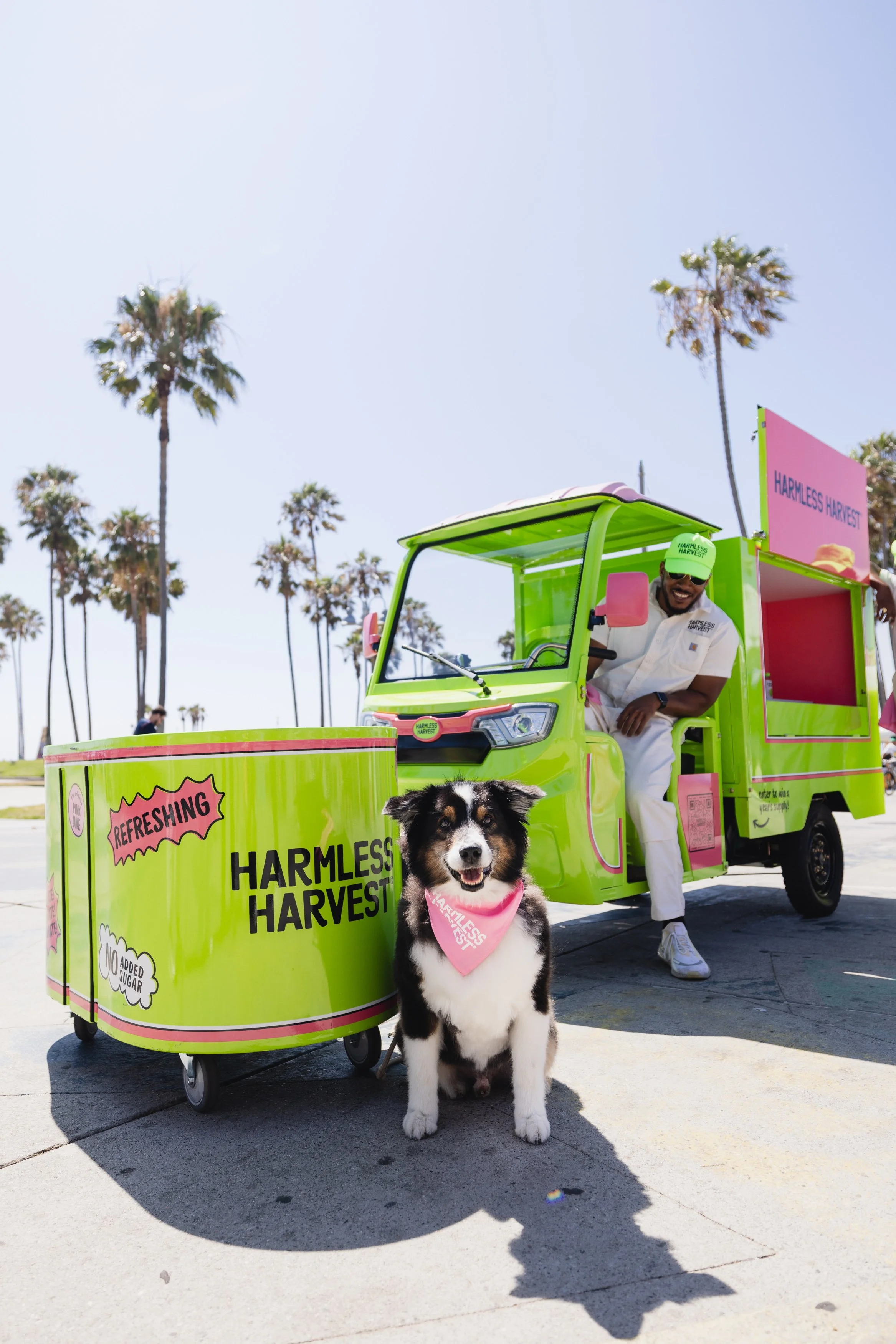 Dog at Harmless Harvest Venice Beach Activation