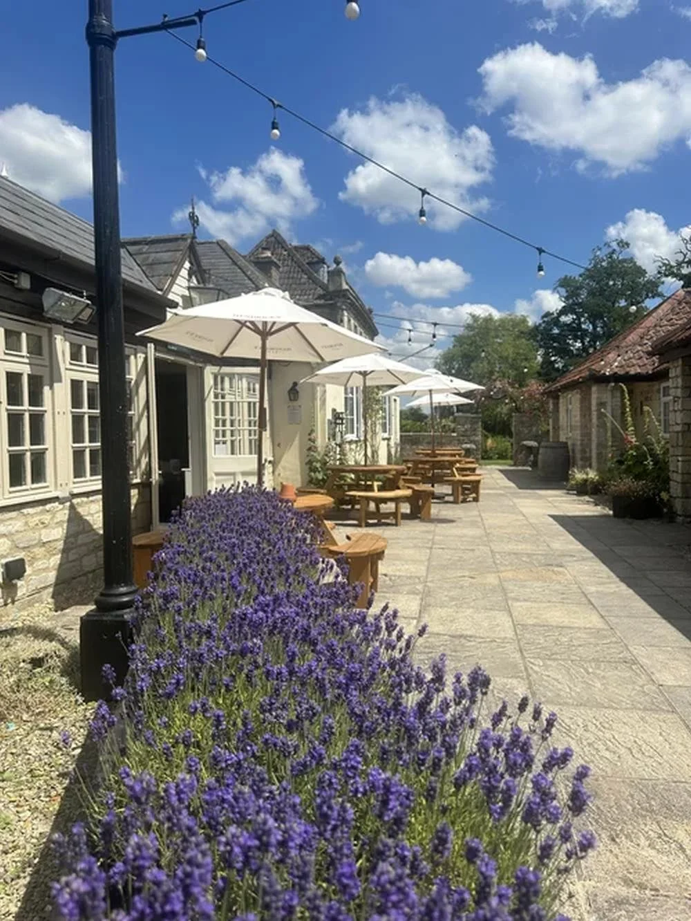 Outdoor patio with lavender plants, wooden tables and umbrellas, stone buildings, string lights, and a bright blue sky with scattered clouds.