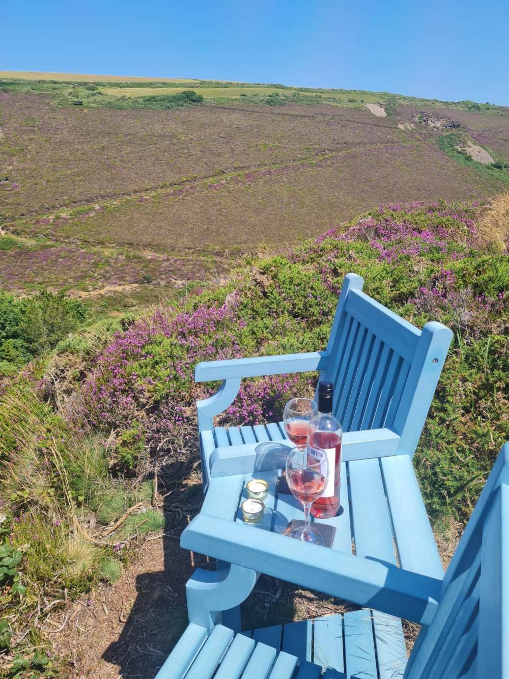 A light blue wooden bench on a hilltop with a bottle of rosé wine and two glasses filled with rosé, surrounded by purple flowering bushes, overlooking a hillside with patches of greenery and purple heather under a clear blue sky.