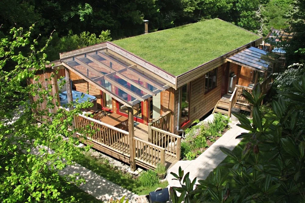 A Aerial view of a small house with a green roof, surrounded by trees and plants.