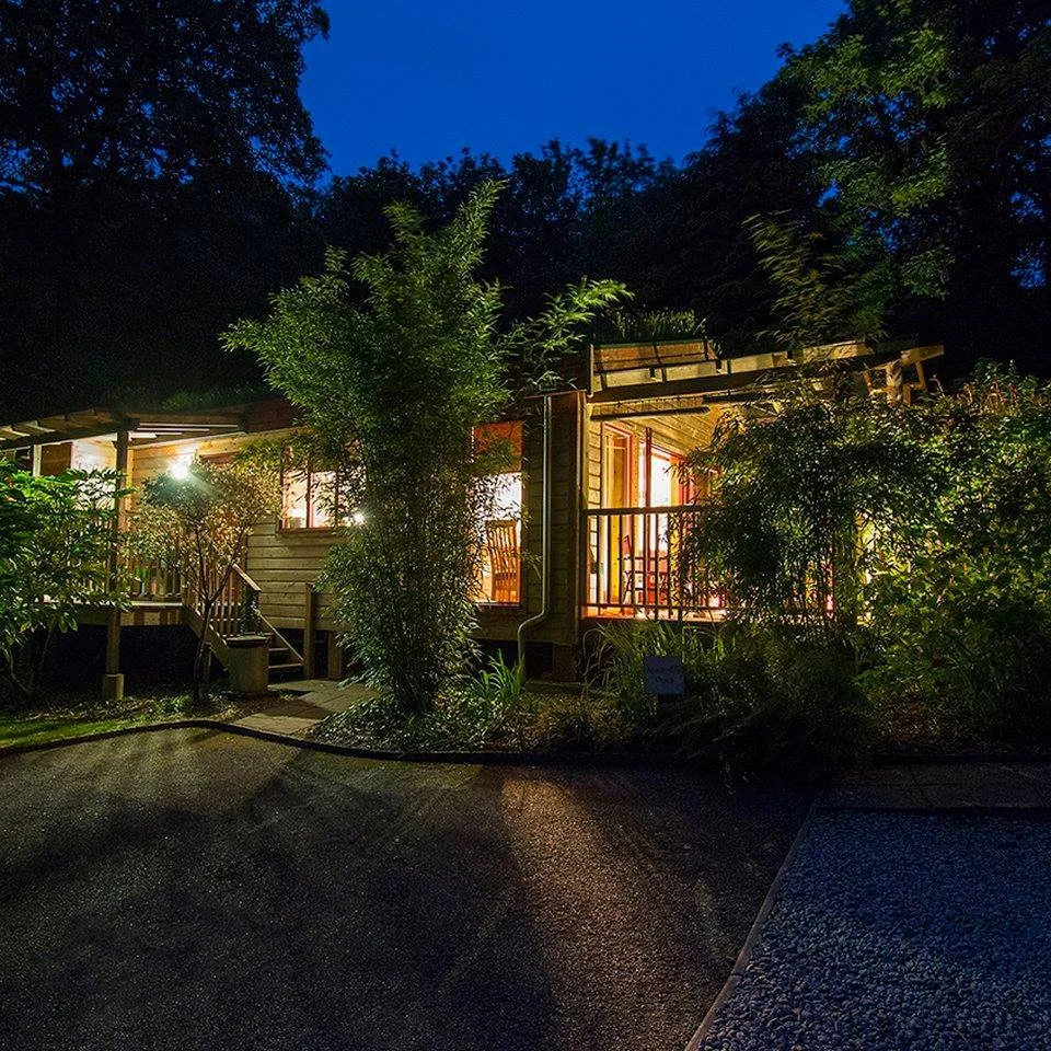 A warmly lit house surrounded by trees and bushes at night with a dark sky overhead.