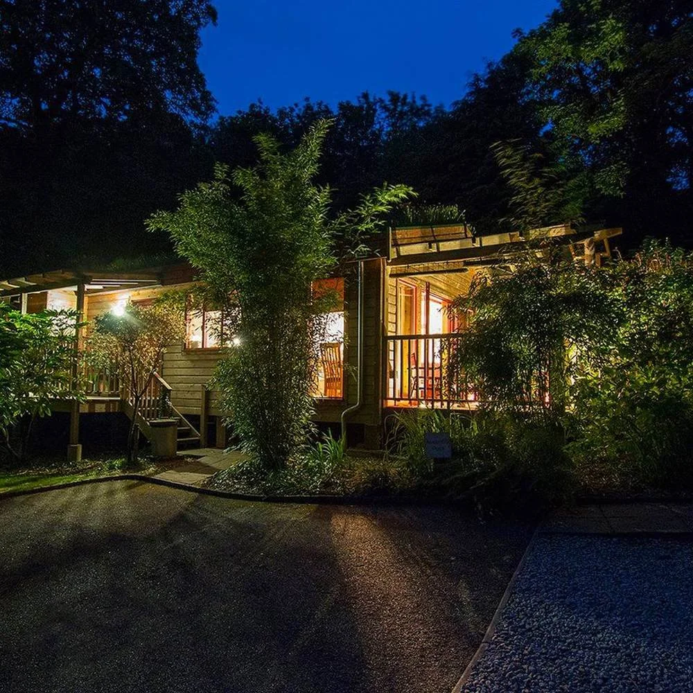 A cozy house with large windows and a porch illuminated from inside, surrounded by lush greenery and tall trees at night.