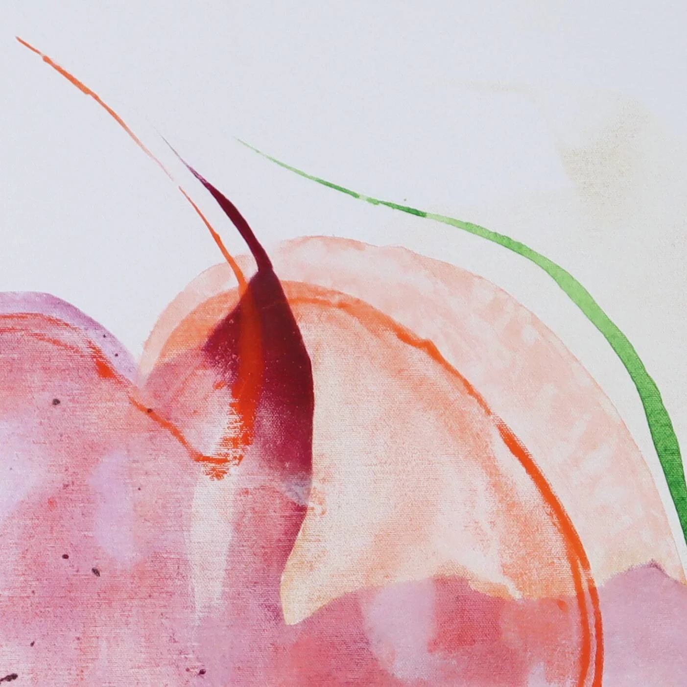 3 détail résilience.jpg