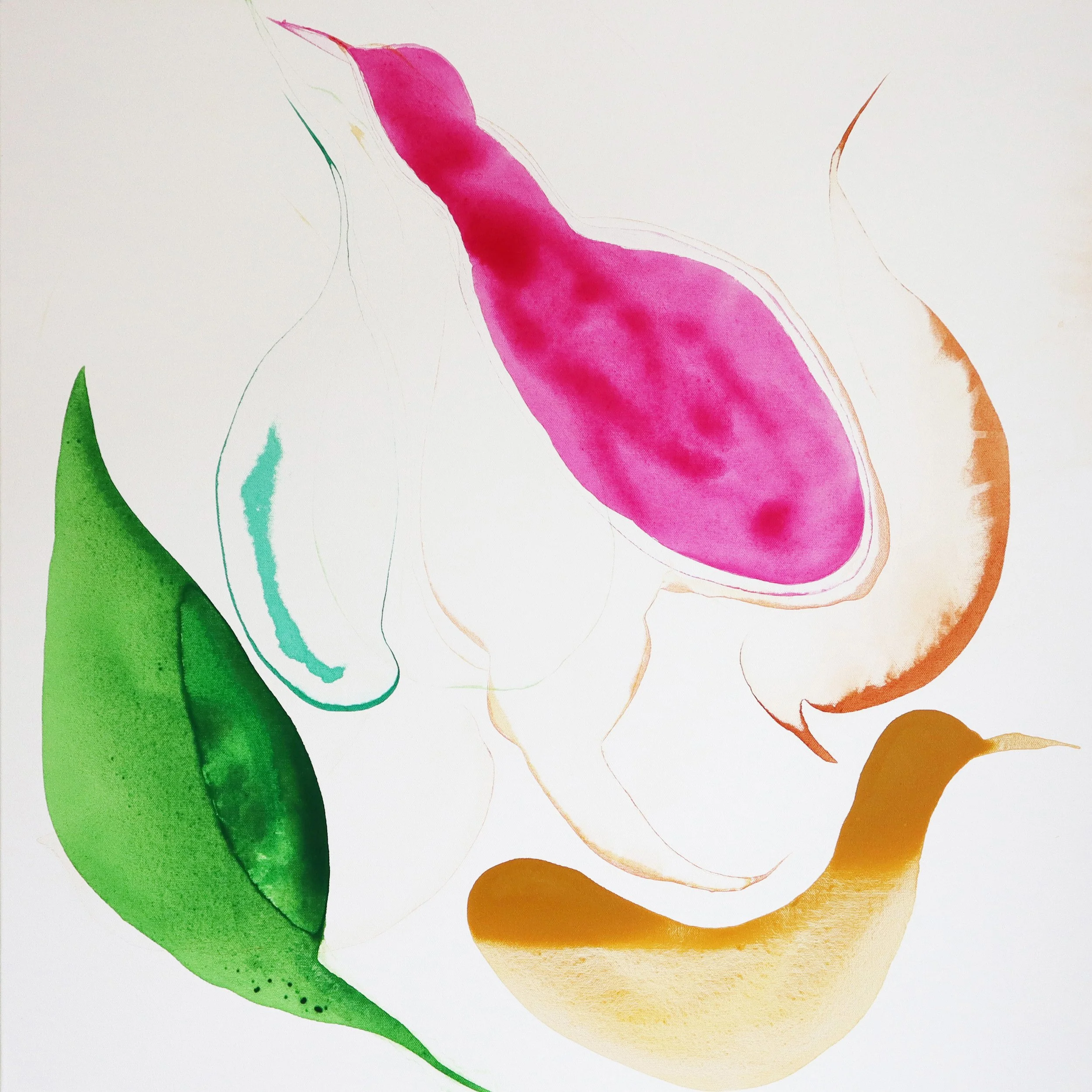 bal des oiseaux - nathalie hadj - 2024.jpg