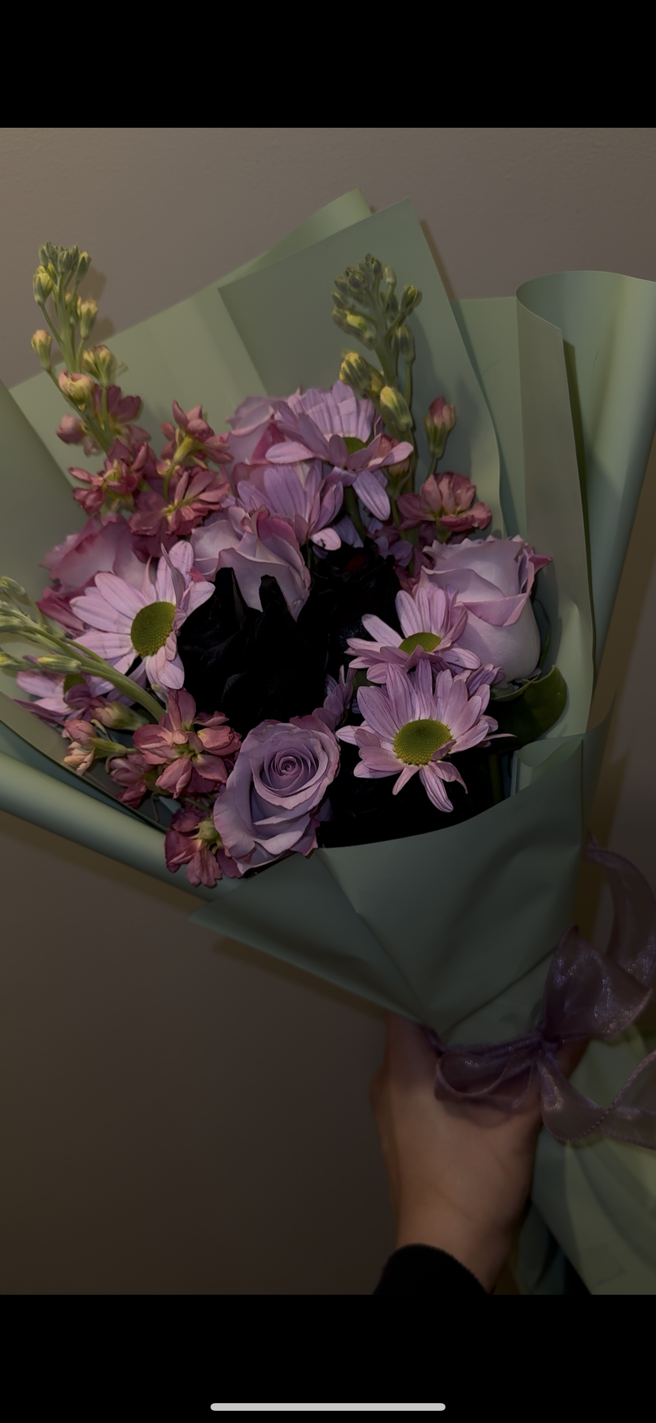 D4EE5737-CE53-41A6-B4DE-62E8968ADBF4_L0_001-2026-04-01, 9_42_51 PM.png