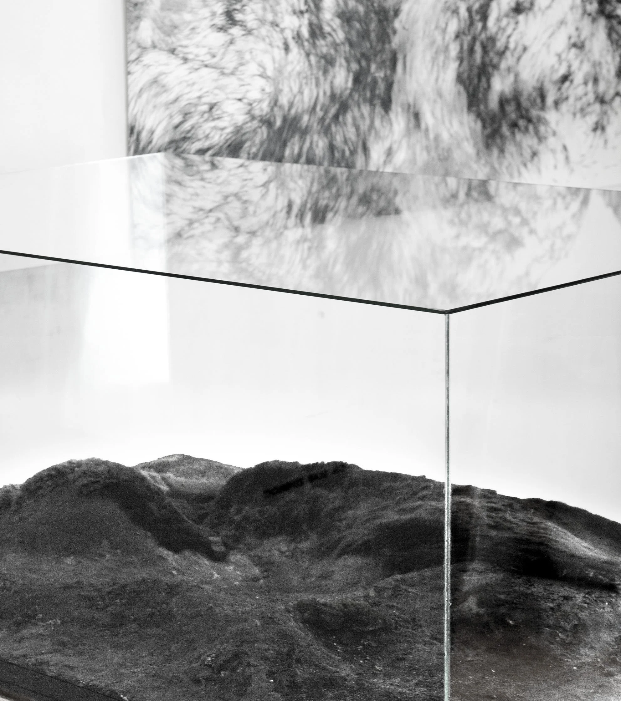8-Vitrine-Glas-Auto.jpg