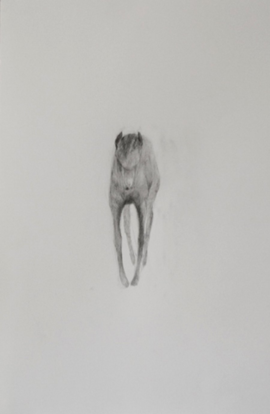 11-windhund.jpg