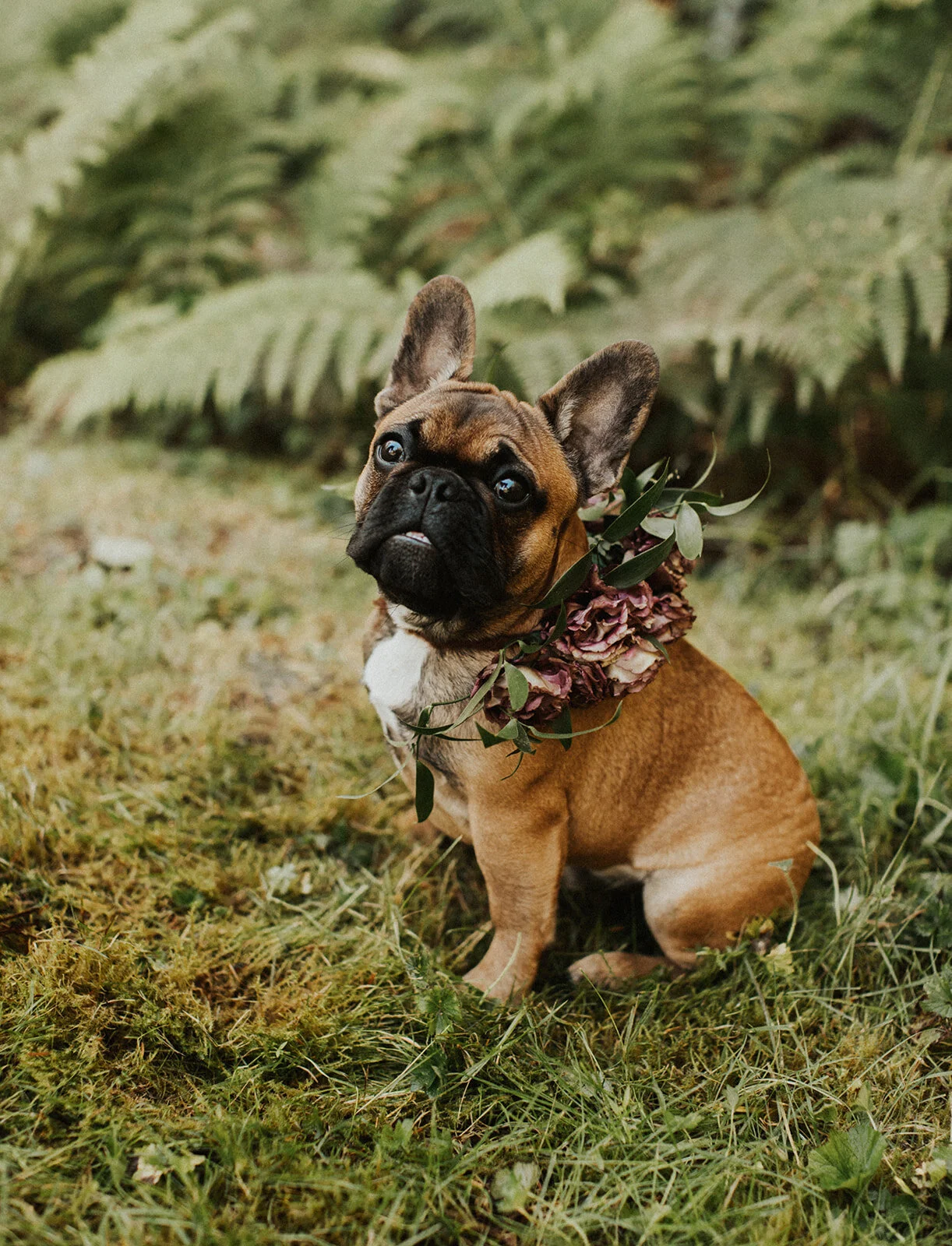 Cassie_+_Patrick_Diablo_Lake_Elopement-51.jpg