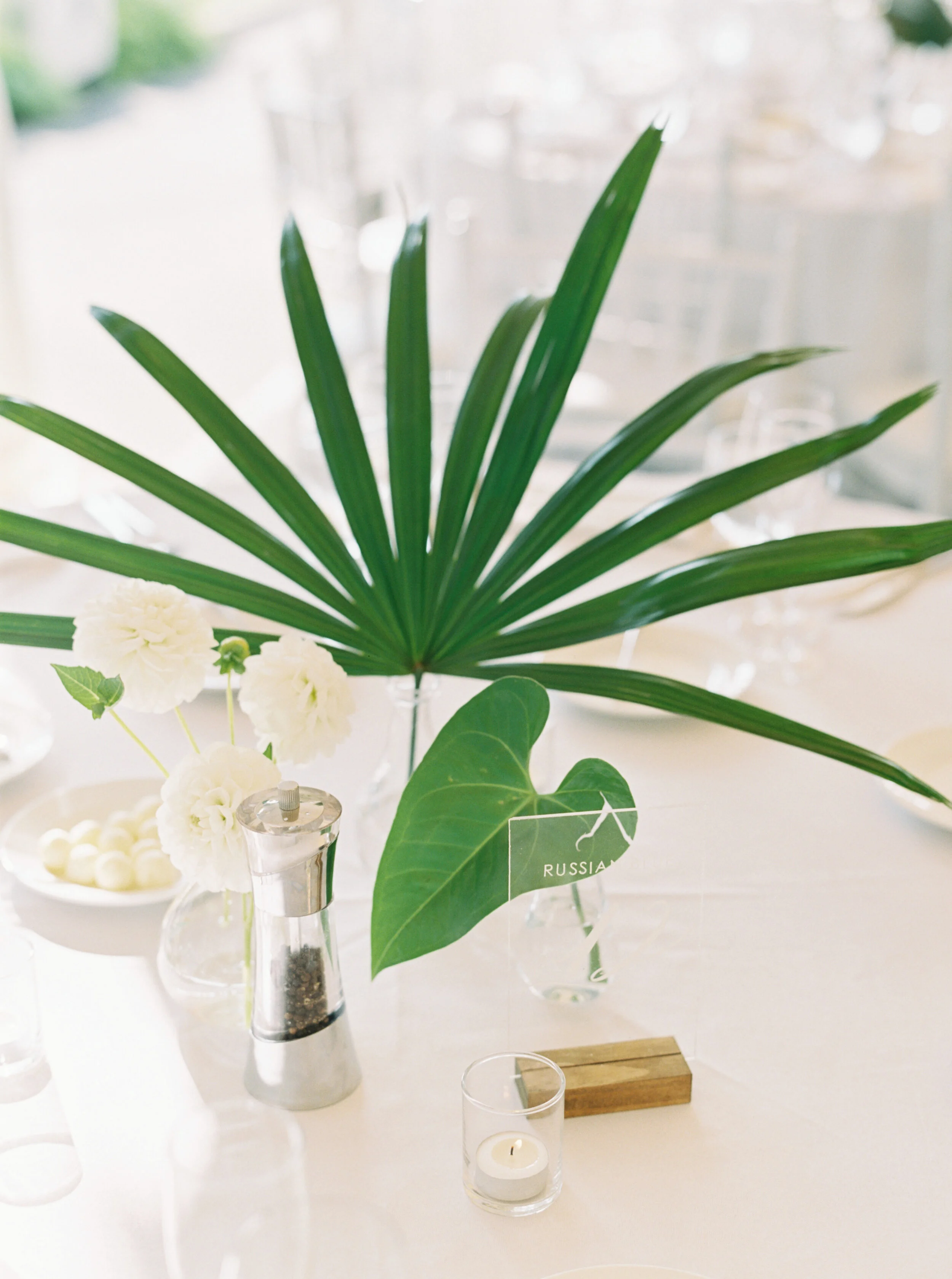 CG-Wedding-368.jpg