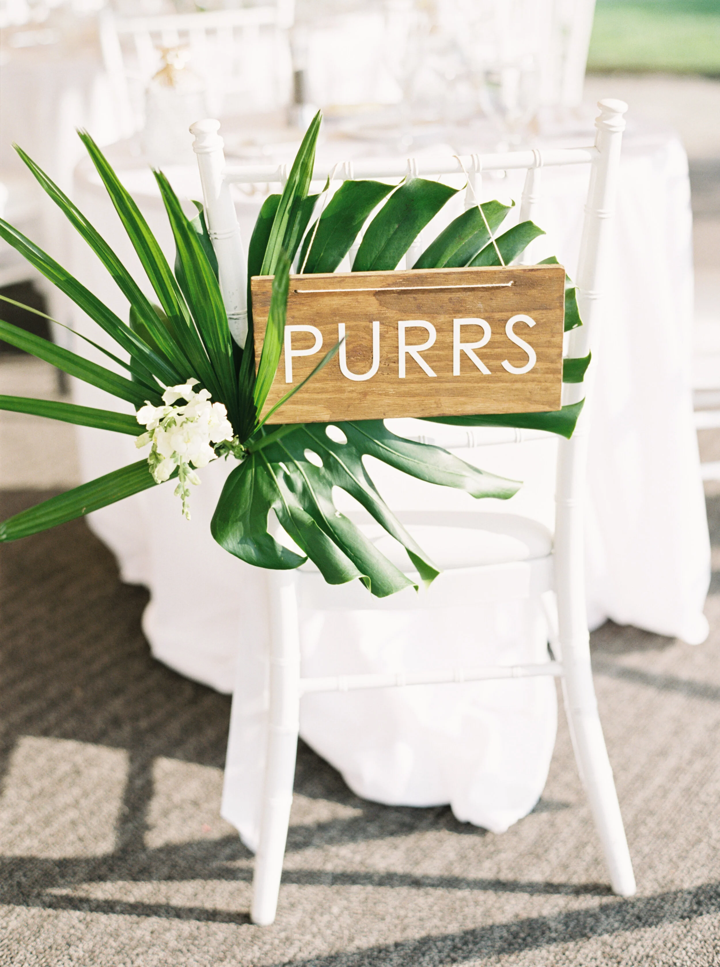 CG-Wedding-348.jpg