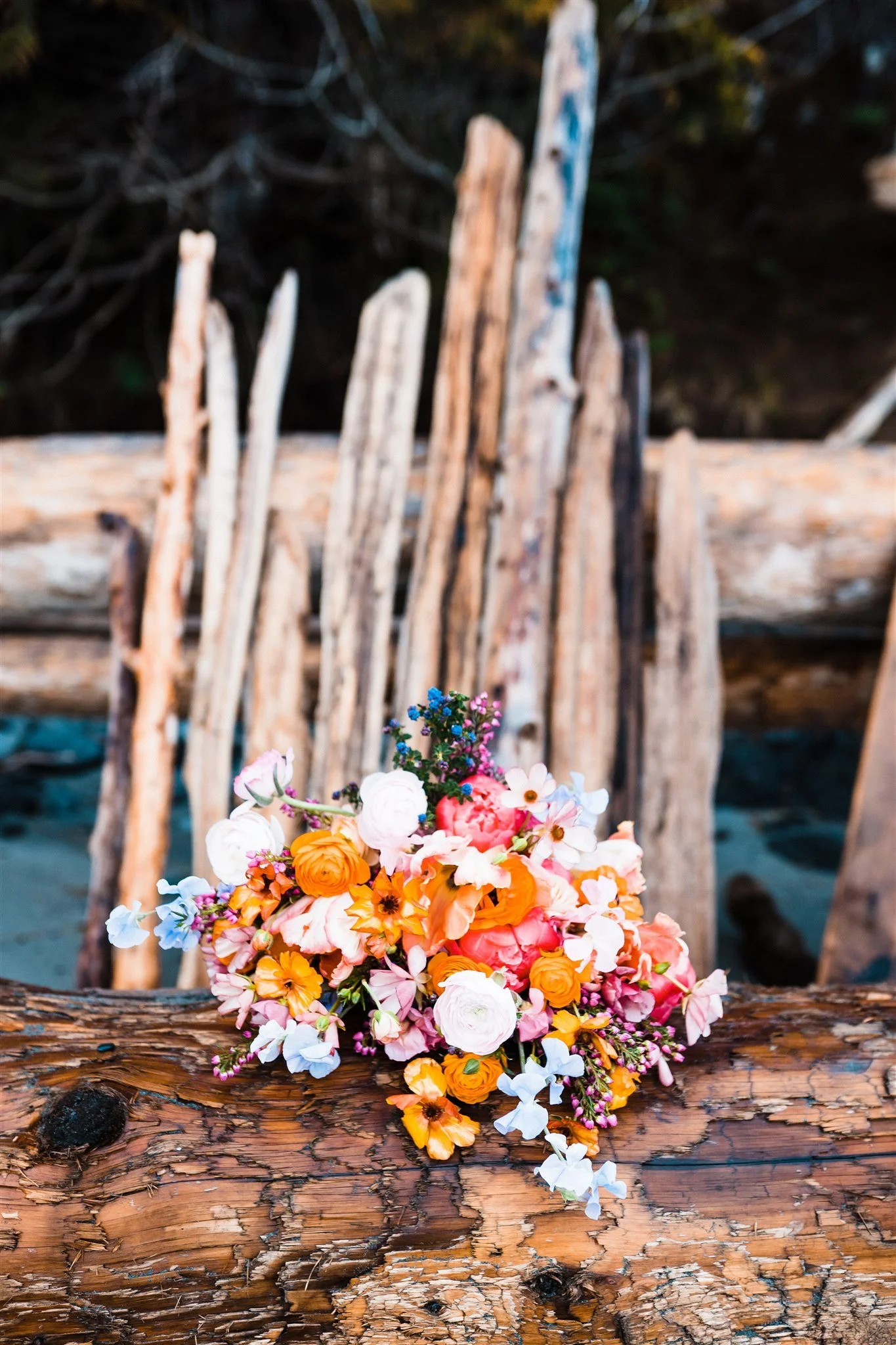 Julia_Bryan_Olympic_National_Park_Elopement_The_Foxes_Photography_106.jpg