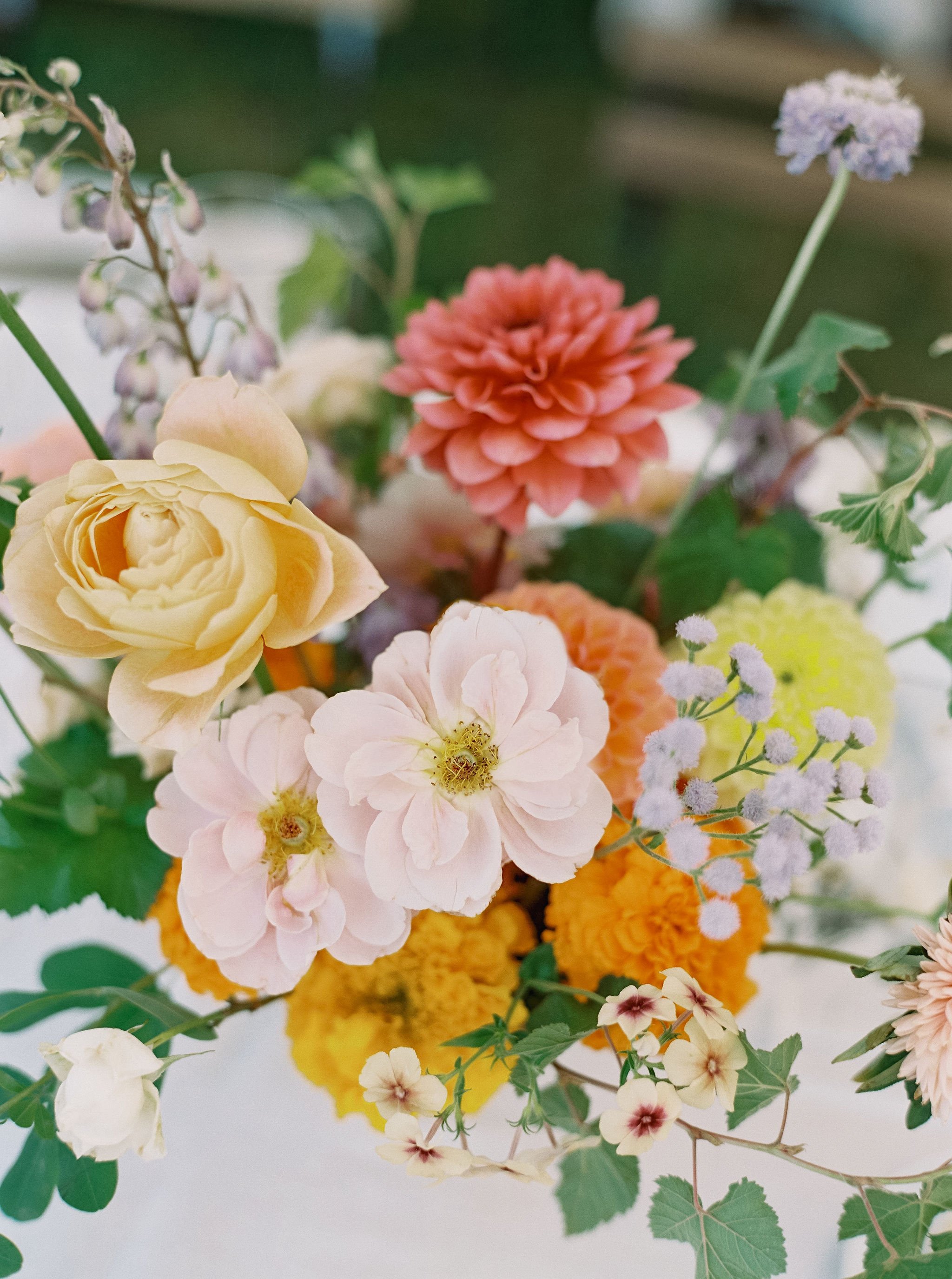 IBWedding-1481.jpg