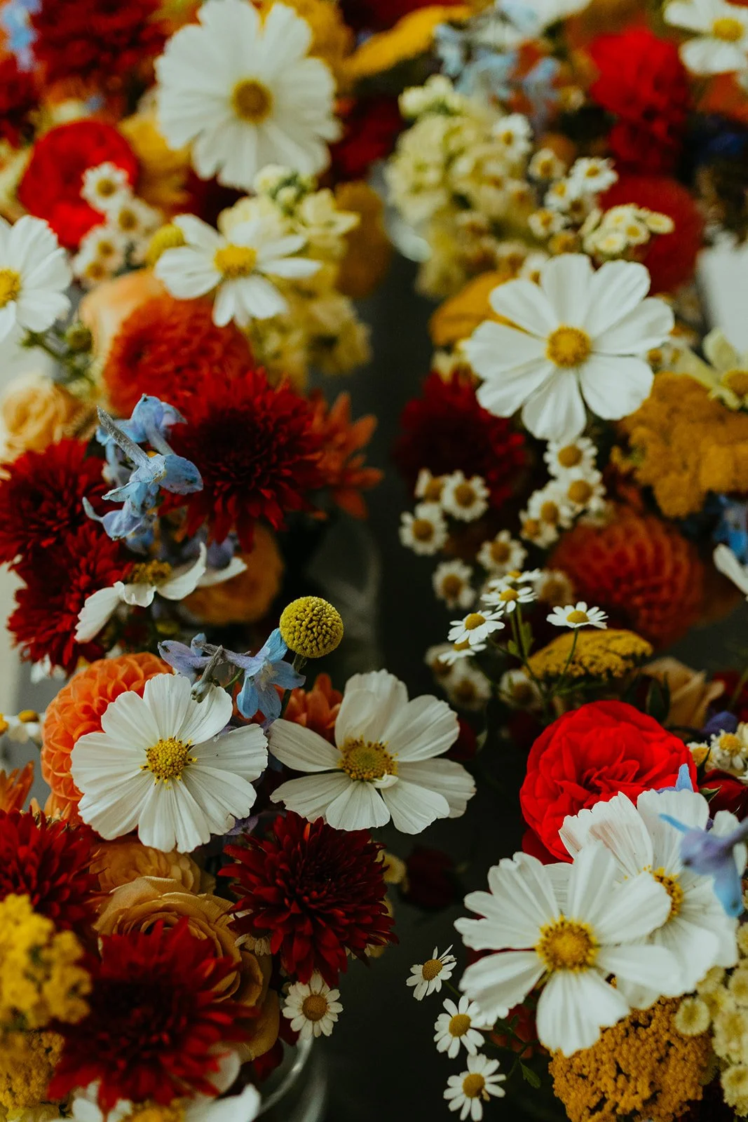 carigan tuck wedding photos-30_websize.jpg