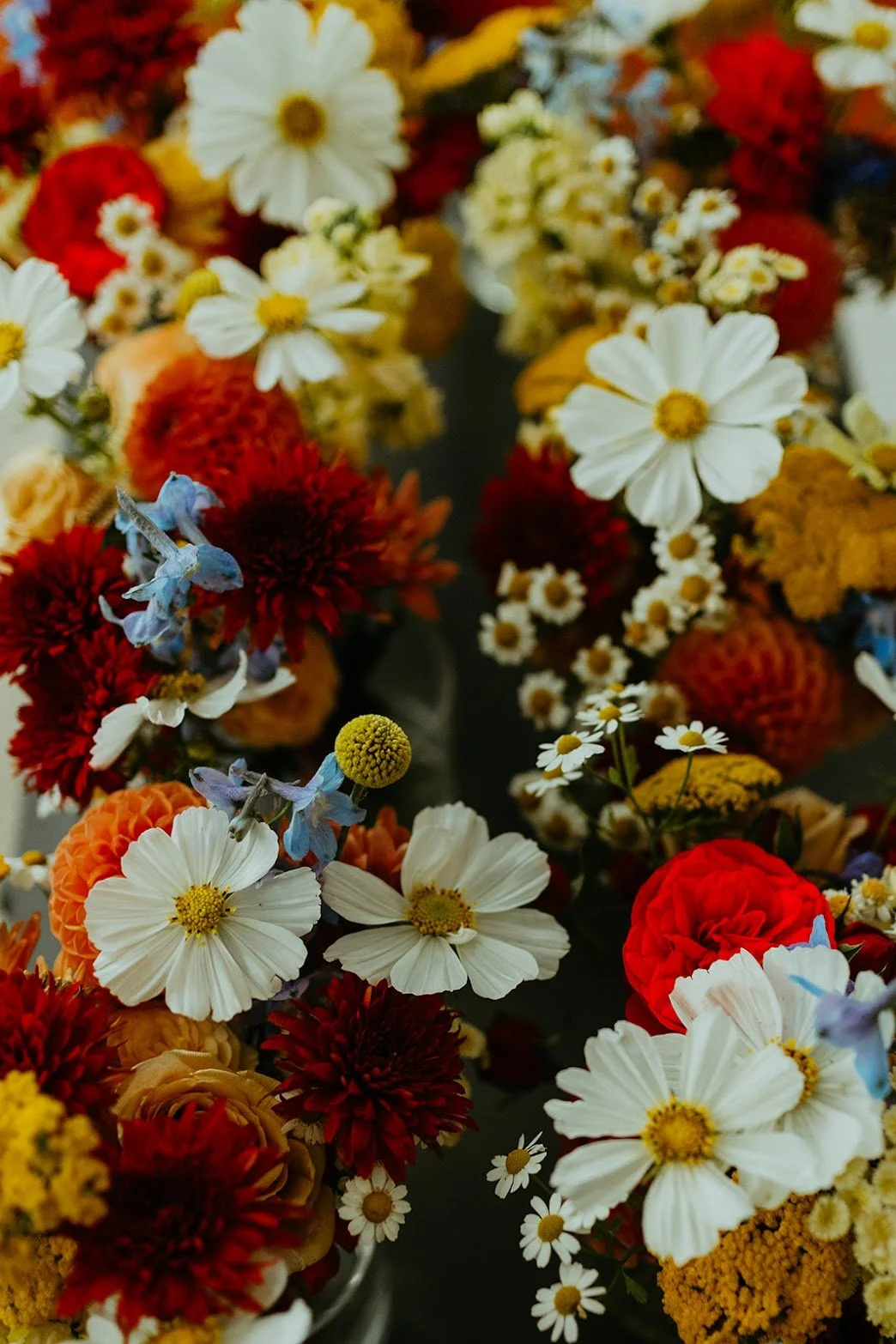 carigan tuck wedding photos-30_websize.jpg