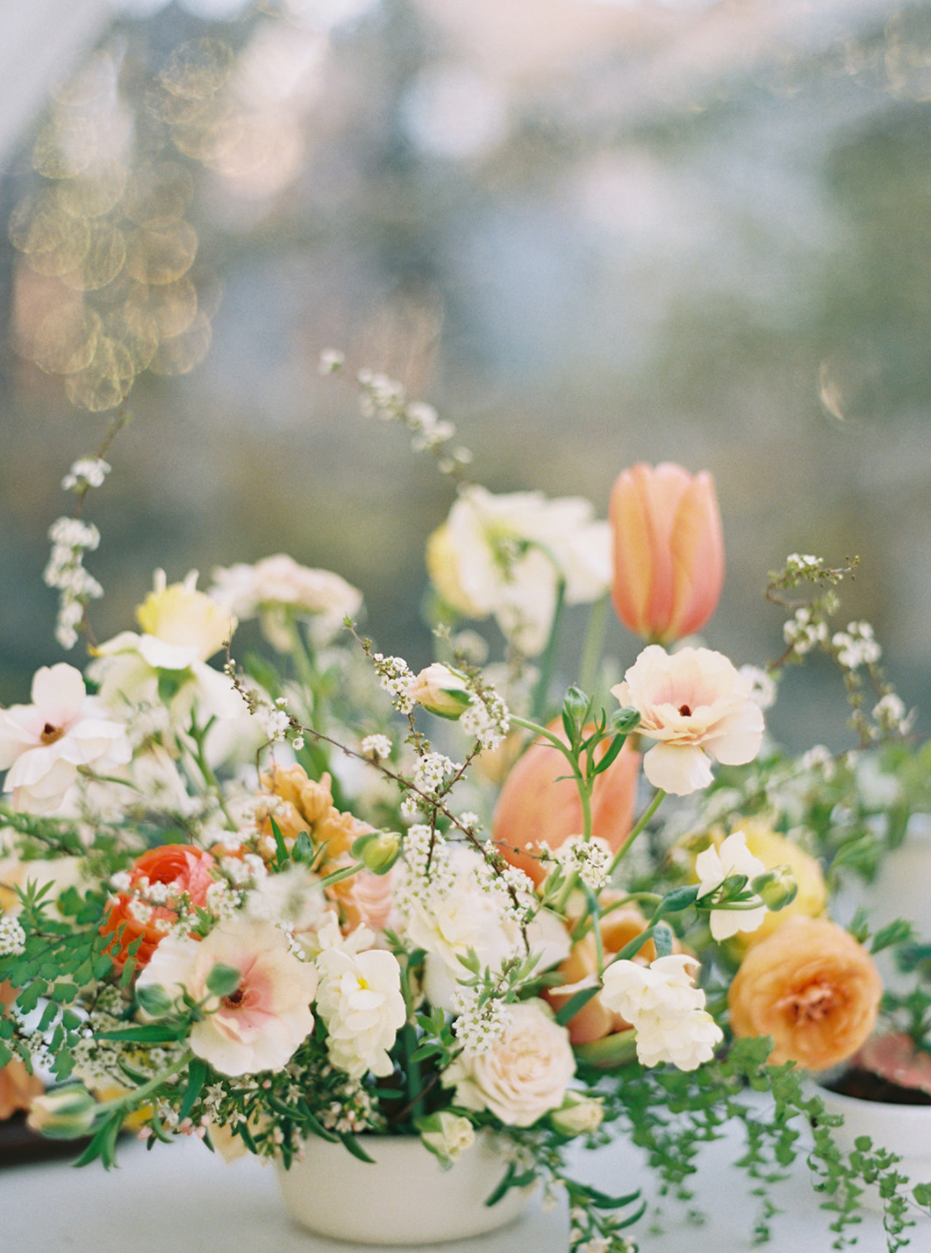 Additional Photo.png