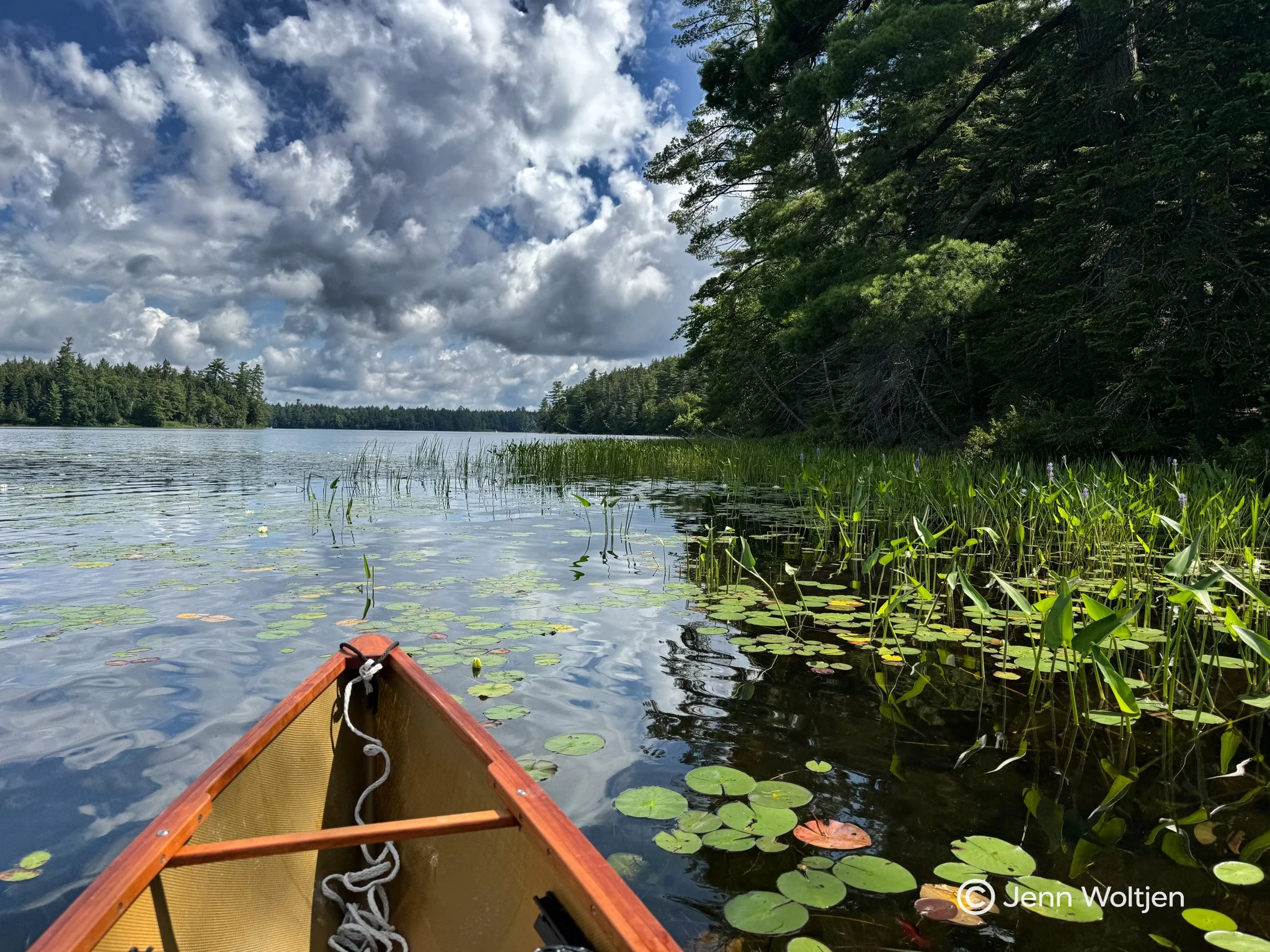 Paddling on Follensby Clear Pond, Adirondacks 
