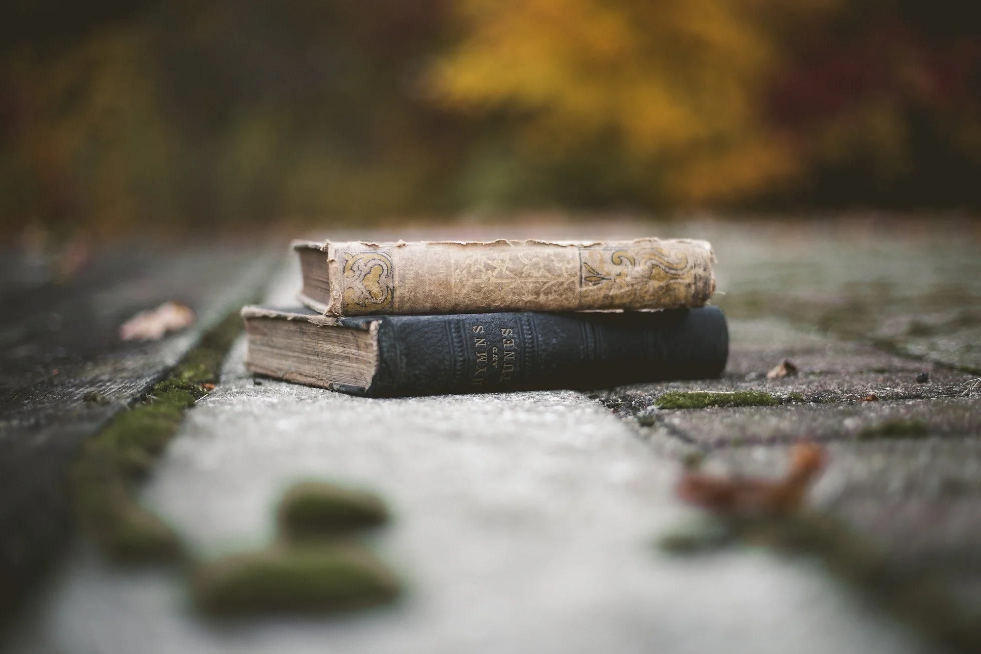 O Livro de Três Décadas e Meia