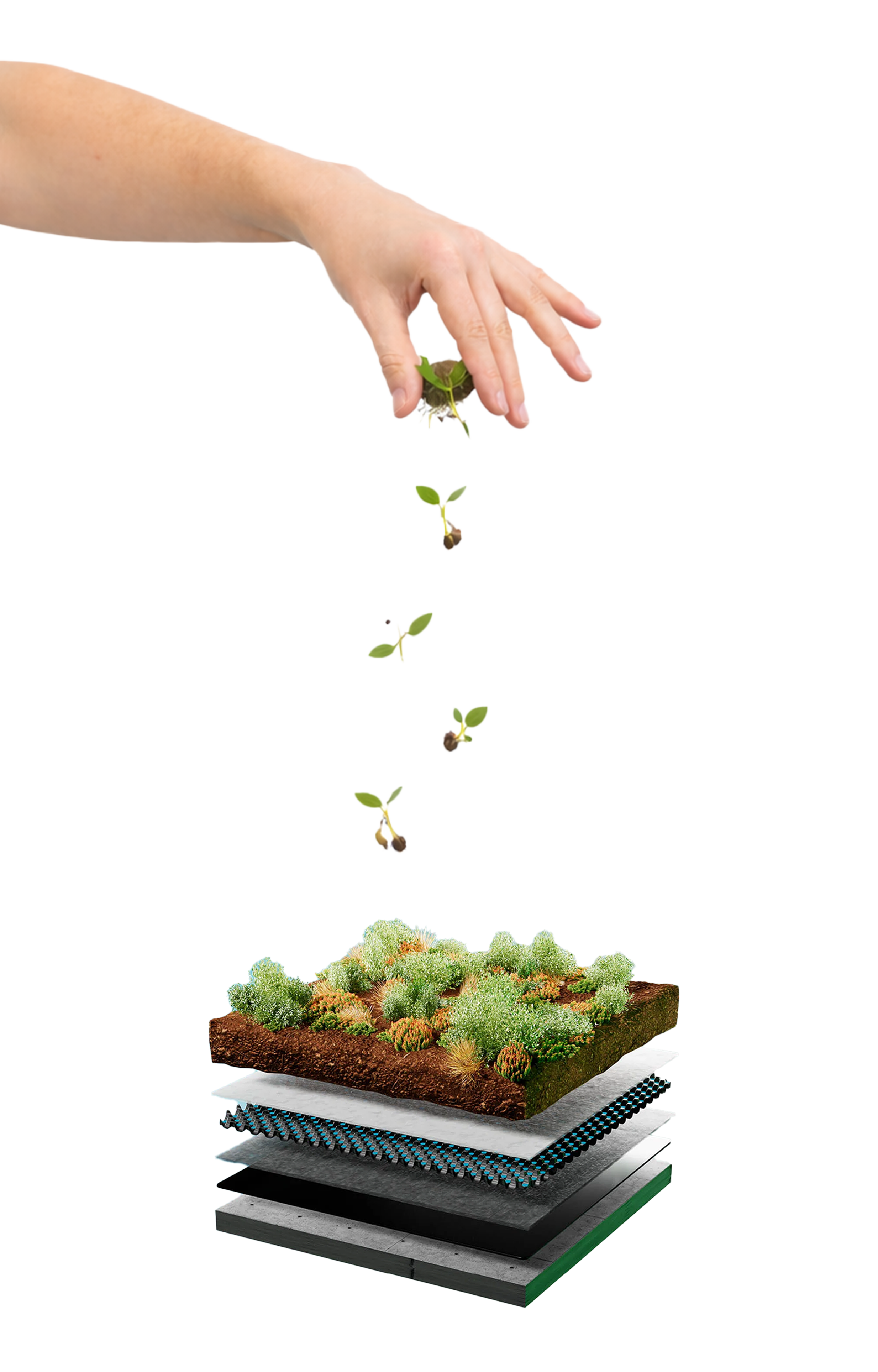 Ein Modell eines Pflanzenwachstums, das die verschiedenen Schichten eines botanischen oder landwirtschaftlichen Anbausystems zeigt, einschließlich Erde, Schichten von Material und einer Pflanzenzelle, die die Entwicklung der Pflanzen auf mikroskopischer Ebene darstellt.