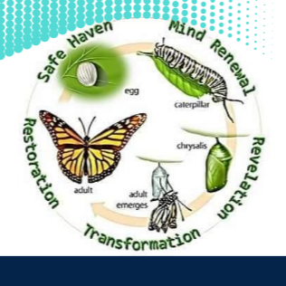 Diagram illustrating the lifecycle of a butterfly, showing stages from egg to caterpillar, chrysalis, adult butterfly, and adult emerges, with themes of safe haven, mind renewal, transformation, and resurrection.