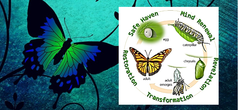 Illustration of a butterfly lifecycle cycle with stages: eggs, caterpillar, chrysalis, and adult butterfly, emphasizing safe haven, mind renewal, rejuvenation, transformation, and restoration.