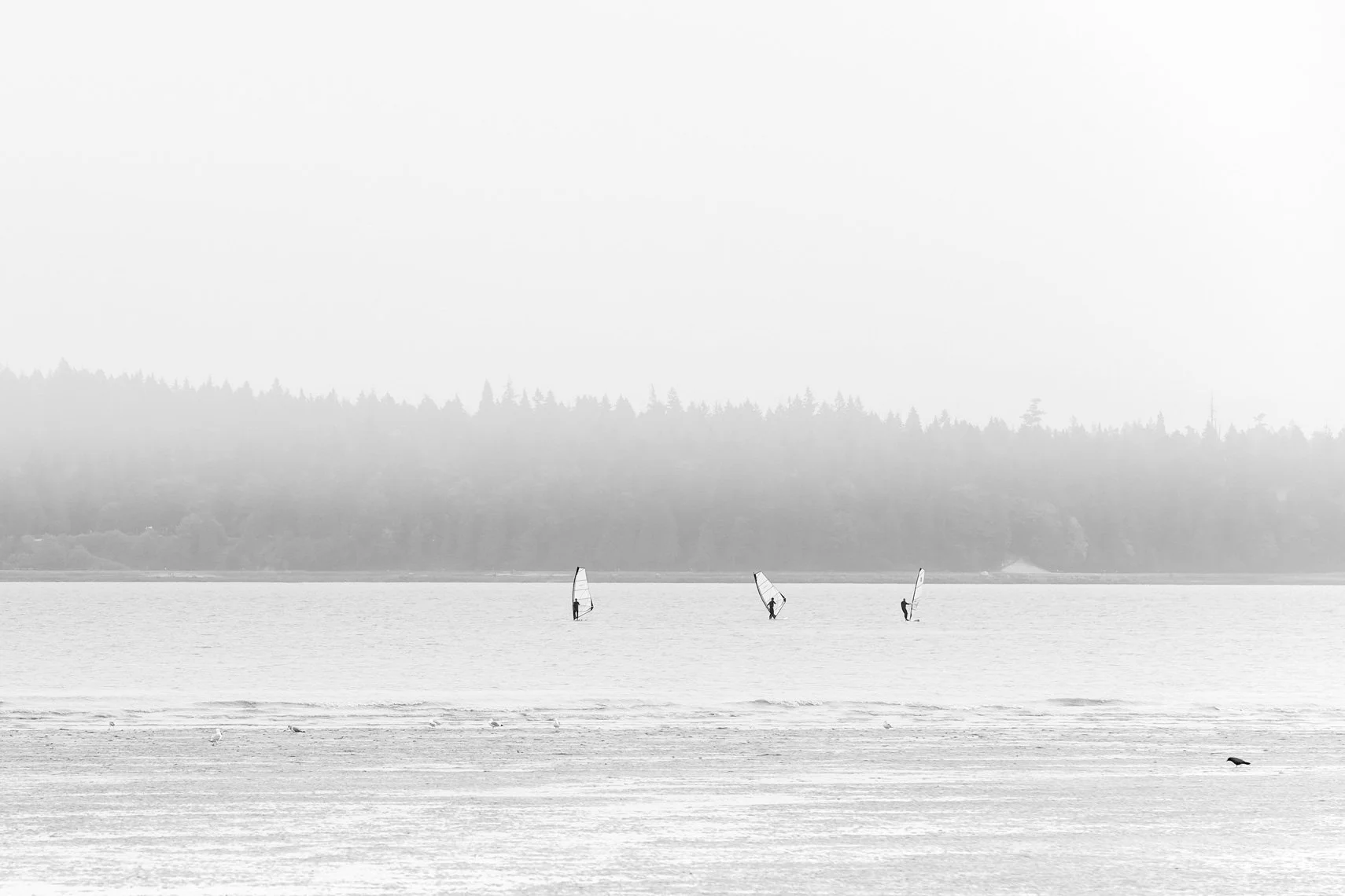 Sallow Surf
Archival Ink Pigment Print
Editions of 3/10/10 +2AP at
28x42, 20x30, 16x24 inches
