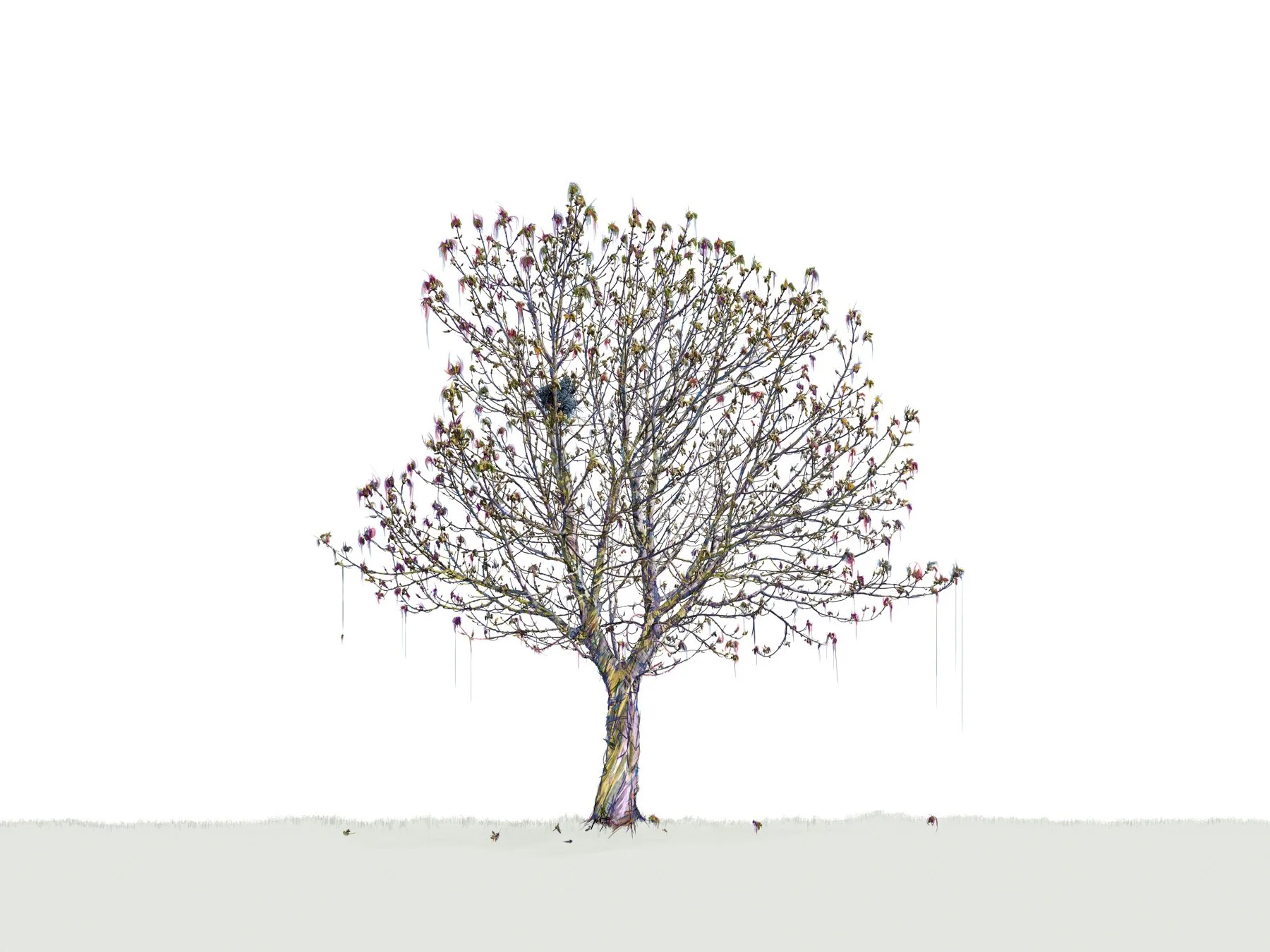 Through the Looking Glass
Digital Composite Archival Ink Pigment Print
Editions at 42x56,36x48,30x40,24x32 inches