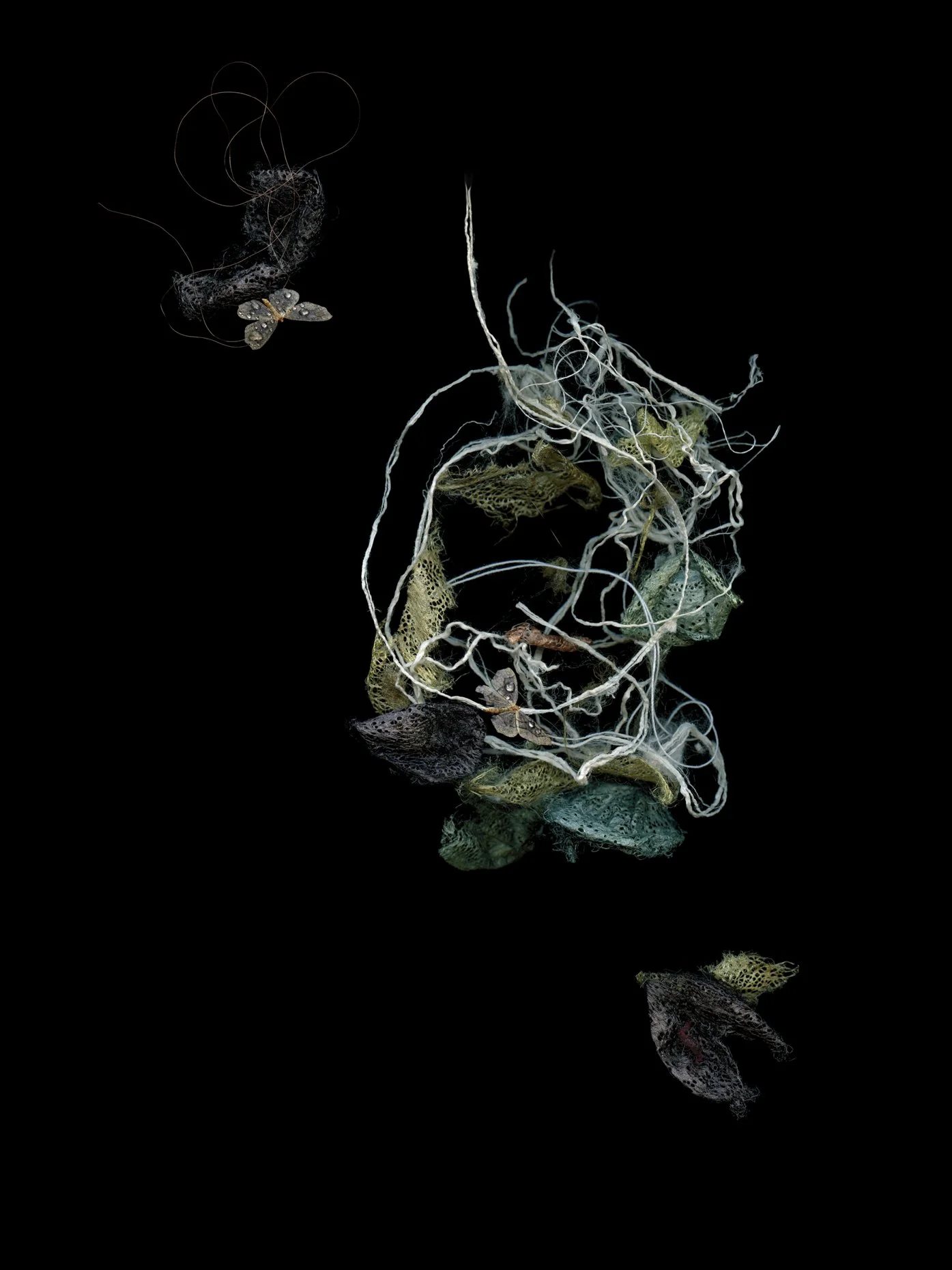 Wishing Well
Digital Composite Archival Ink Pigment Print
Editions of 3/10/10 +2AP at
56x42, 40x30, 28x21 inches
