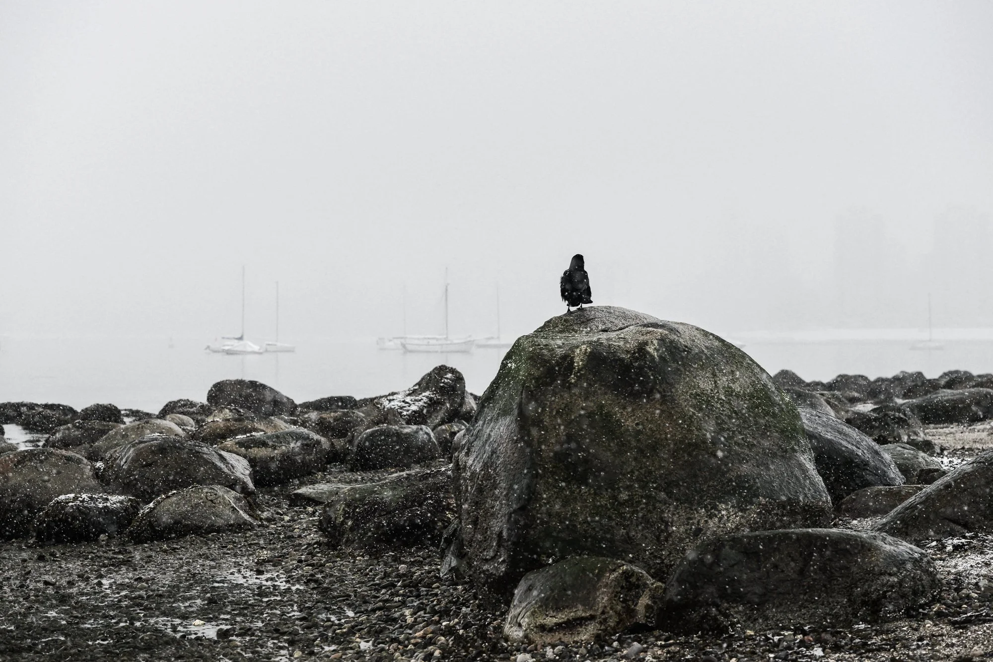 Introspective
Archival Ink Pigment Print
Editions of 3/10/10 +2AP at
28x42, 20x30, 16x24 inches