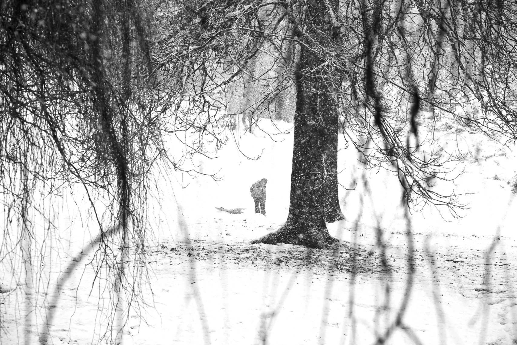 In Dreams and Play
Archival Ink Pigment Print
Editions of 3/10/10 +2AP at
28x42, 20x30, 16x24 inches
