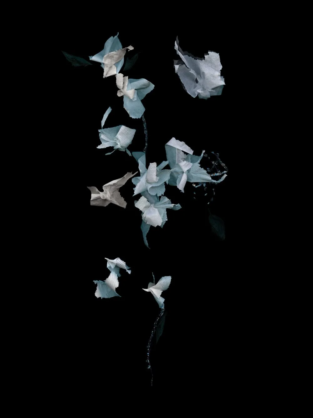 Ephemeral Findings
Digital Composite Archival Ink Pigment Print
Editions of 3/10/10 +2AP at
56x42, 40x30, 28x21 inches
Materials: Masks, Toilet Paper, Tissue Paper, Bubble Wrap, Hand Sanitizer 