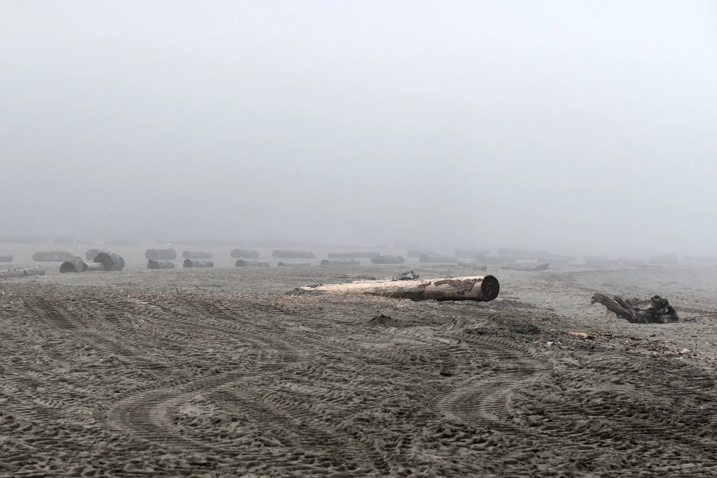 Obstructed
Archival Ink Pigment Print
Editions of 3/10/10 +2AP at
28x42, 20x30, 16x24 inches