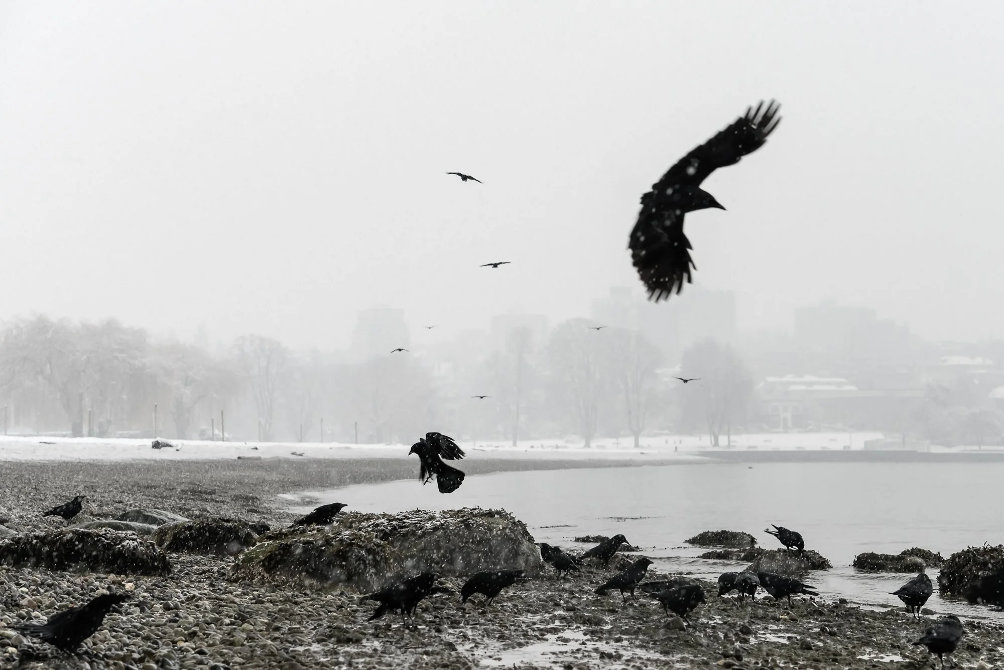 Over and Over
Archival Ink Pigment Print
Editions of 3/10/10 +2AP at
28x42, 20x30, 16x24 inches