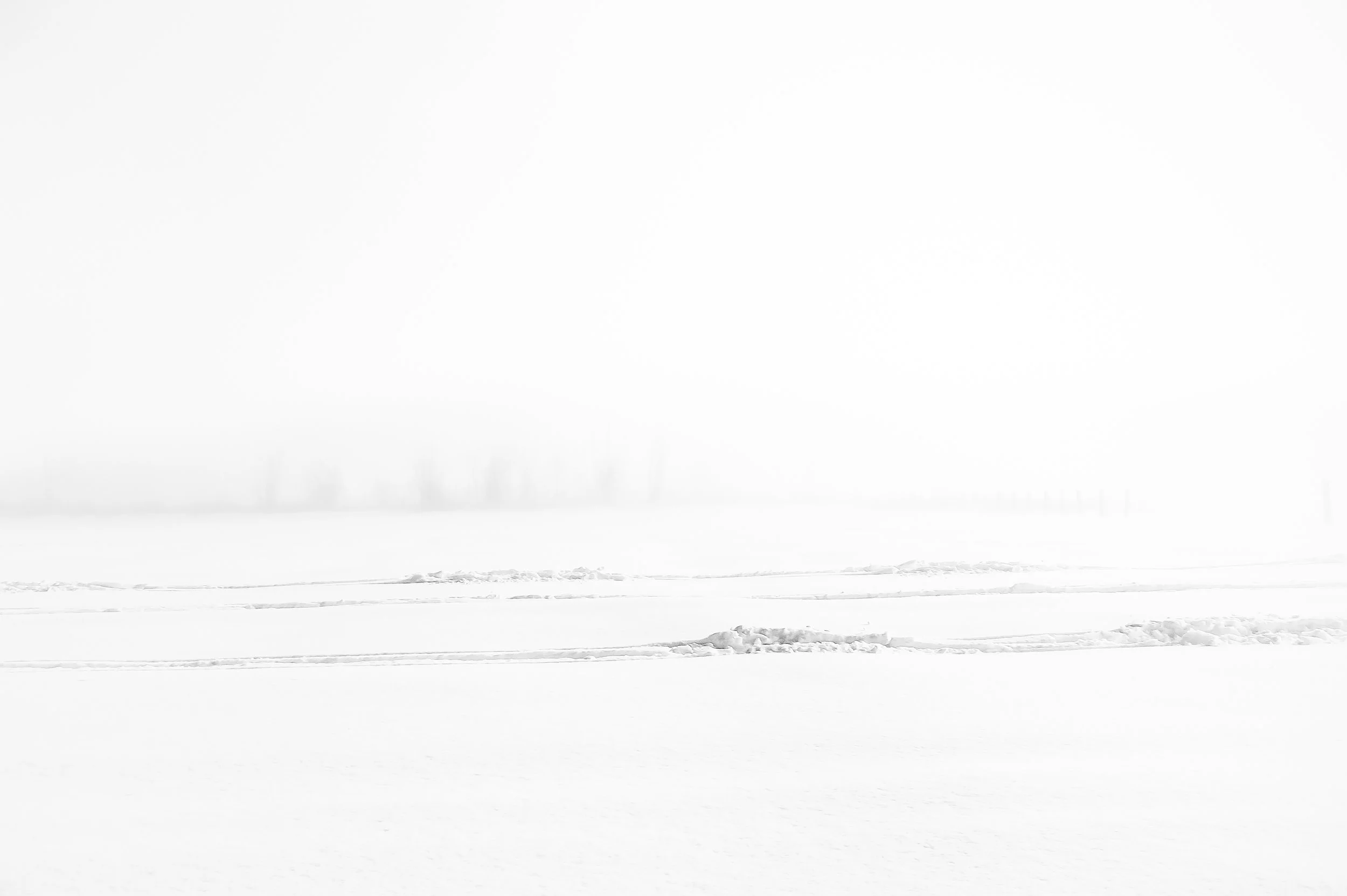 White Out
Archival Ink Pigment Print
Editions of 3/10/10 +2AP at
28x42, 20x30, 16x24 inches
