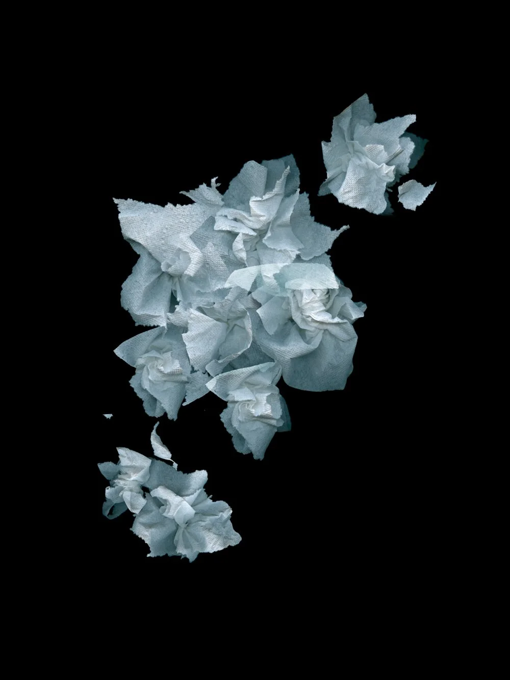 Ordinary Possessions
Digital Composite Archival Ink Pigment Print
Editions of 3/10/10 +2AP at
56x42, 40x30, 28x21 inches
Materials:Toilet Paper