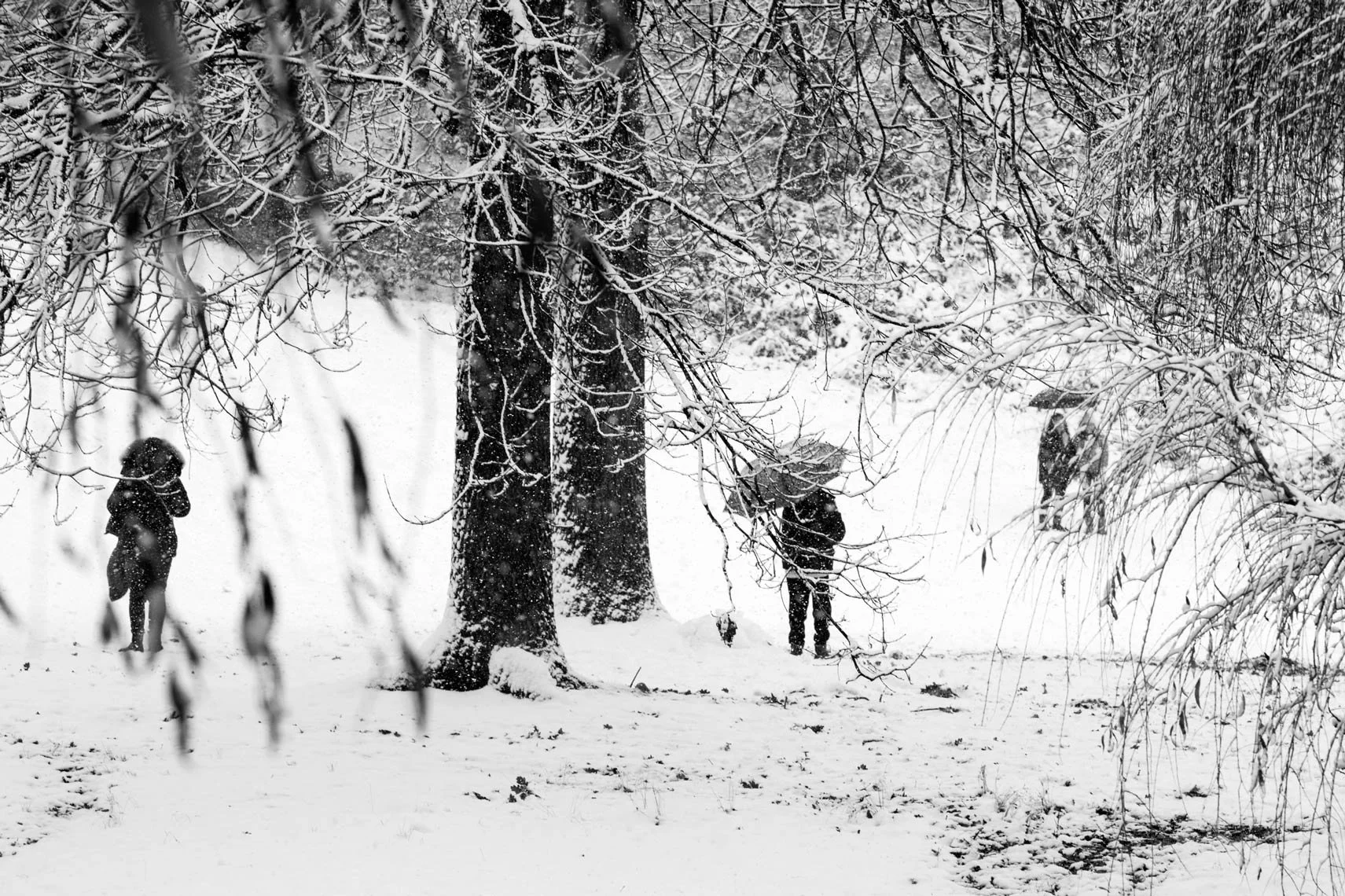 Where You'll Find Me
Archival Ink Pigment Print
Editions of 3/10/10  +2AP at
28x42, 20x30, 16x24 inches
