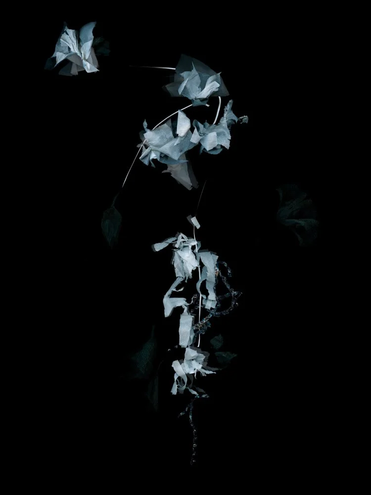 Elusive Pursuit
Digital Composite Archival Ink Pigment Print
Editions of 3/10/10 + 2AP 
at
56x42, 40x30, 28x21 inches
Materials: Masks, Toilet Paper, Tissue Paper, Bubble Wrap, Hand Sanitizer 