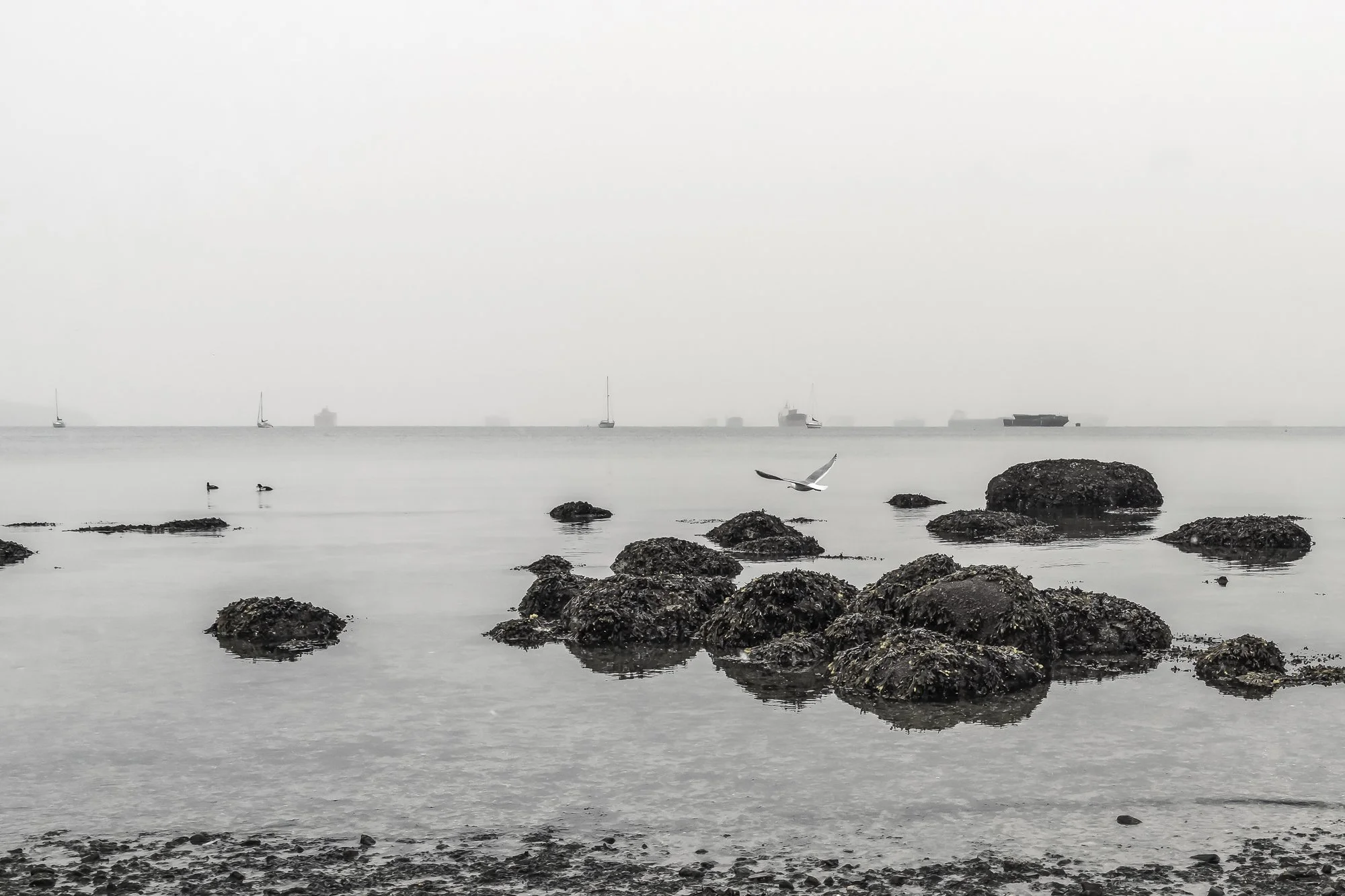 Find a Way
Archival Ink Pigment Print
Editions of 3/10/10 +2AP at
28x42, 20x30, 16x24 inches
