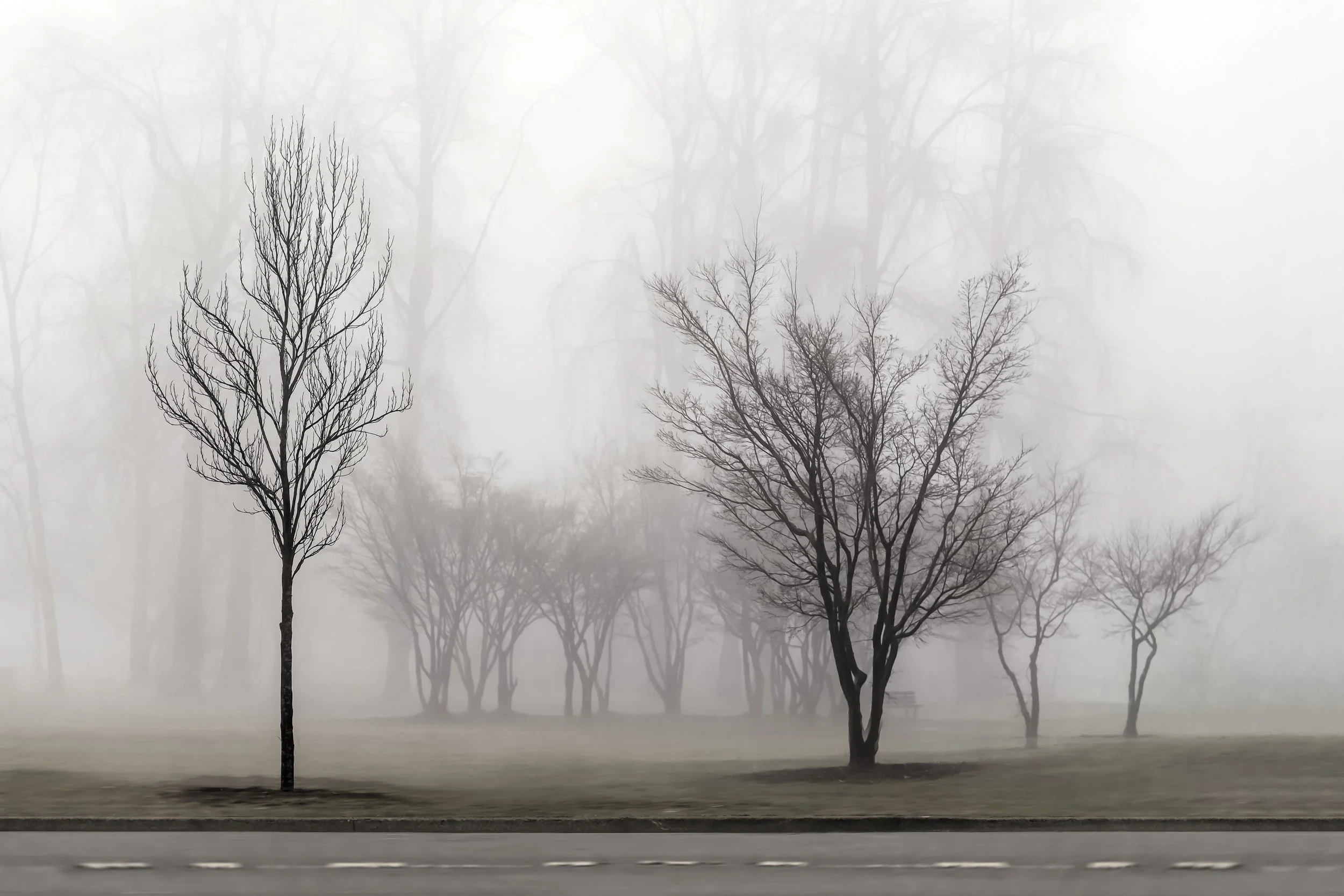 Longtime Longing
Archival Ink Pigment Print
Editions of 3/10/10 +2AP at
28x42, 20x30, 16x24 inches
