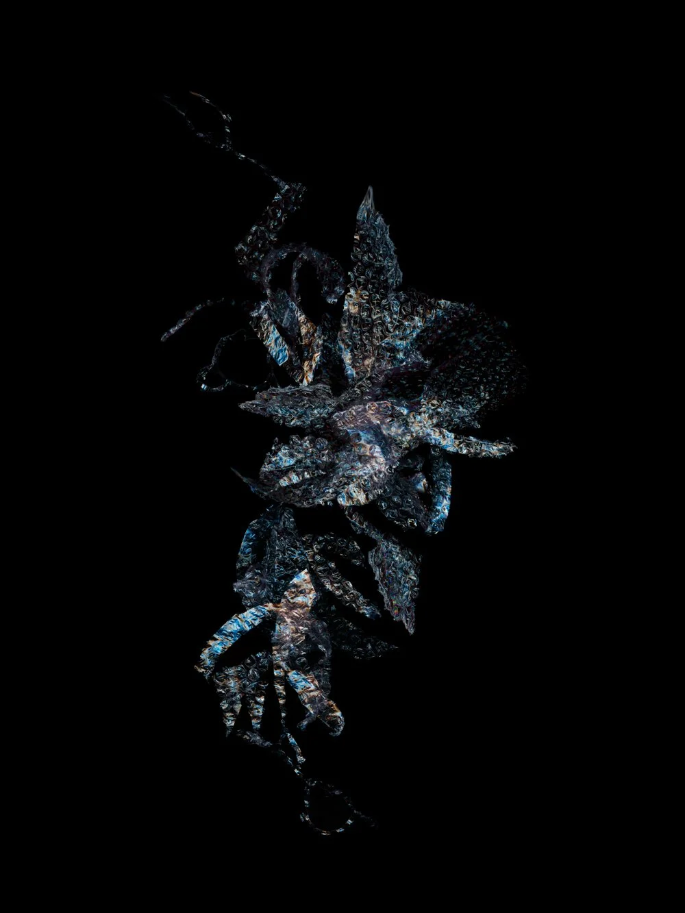 Catch and Release
Digital Composite Archival Ink Pigment Print
Editions of 3/10/10 +2AP at
56x42, 40x30, 28x21 inches
Material: Bubble Wrap