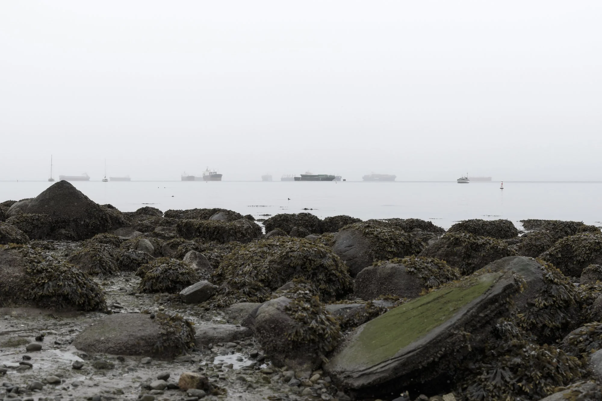 What Remains
Archival Ink Pigment Print
Editions of 3/10/10 +2AP at
28x42, 20x30, 16x24 inches
