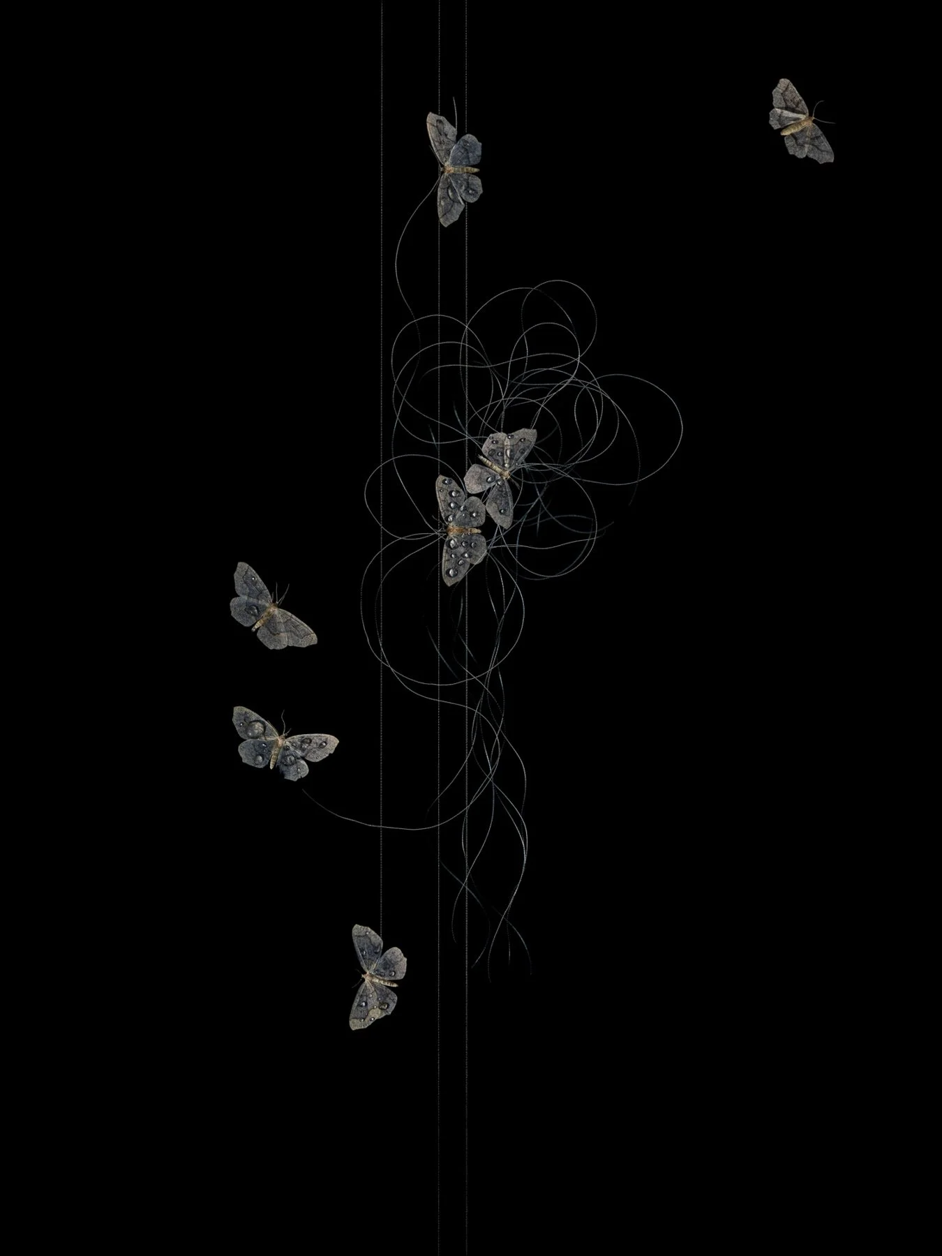 Caught In The Middle
Digital Composite Archival Ink Pigment Print
Editions of 3/10/10 +2AP at
56x42, 40x30, 28x21 inches