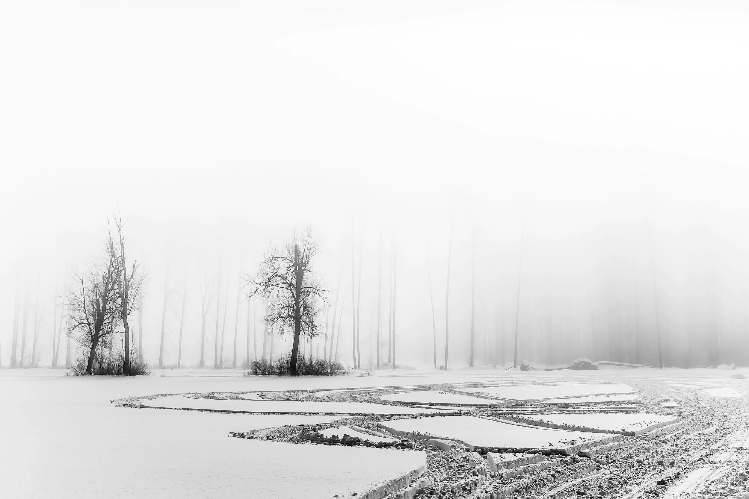 Tread Lightly
Archival Ink Pigment Print
Editions of 3/10/10 +2AP at
28x42, 20x30, 16x24 inches
