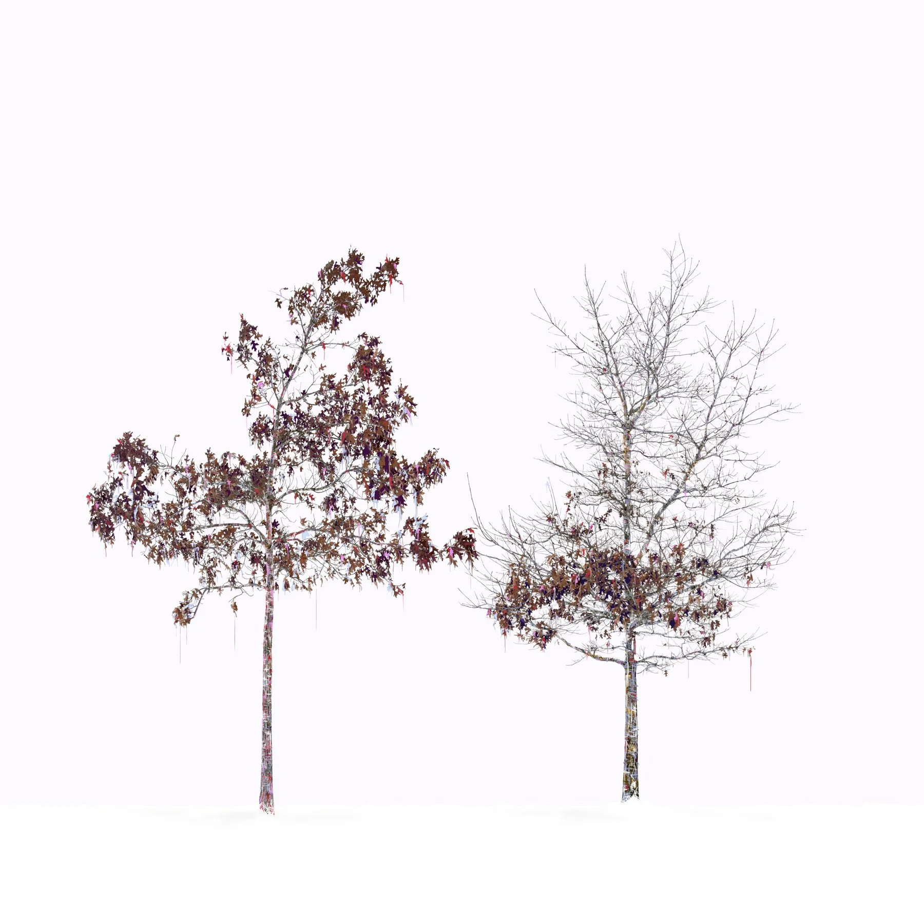 Bubblegum Kisses
Digital Composite Archival Ink Pigment Print
Editions at 42x42,36x36,30x30,24x24 inches
