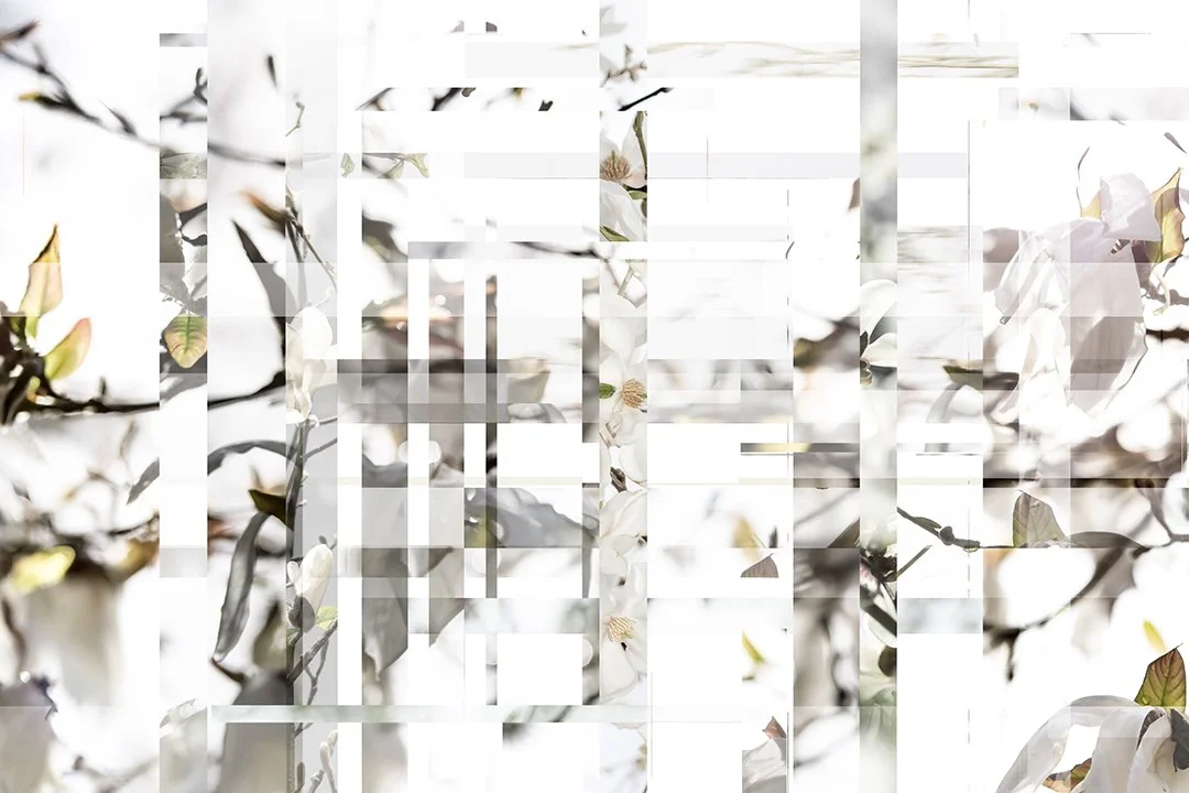 Clever Notions and Hopscotch
Digital Composite Archival Ink Pigment Print
Editions of 5/5/5/5 +2AP at
24x36, 30x45, 36x54, 40x60 inches