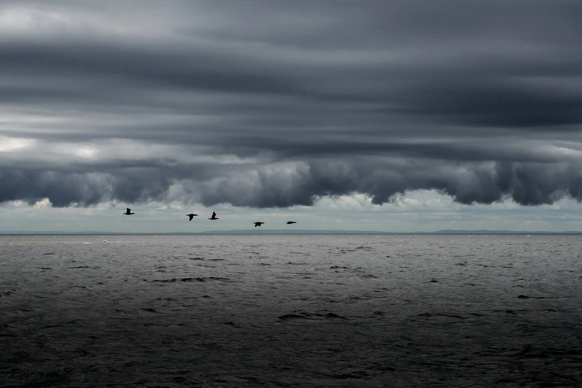 Carry Me Wherever
Archival Ink Pigment Print
Editions of 3/10/10 +2AP at
28x42, 20x30, 16x24 inches
