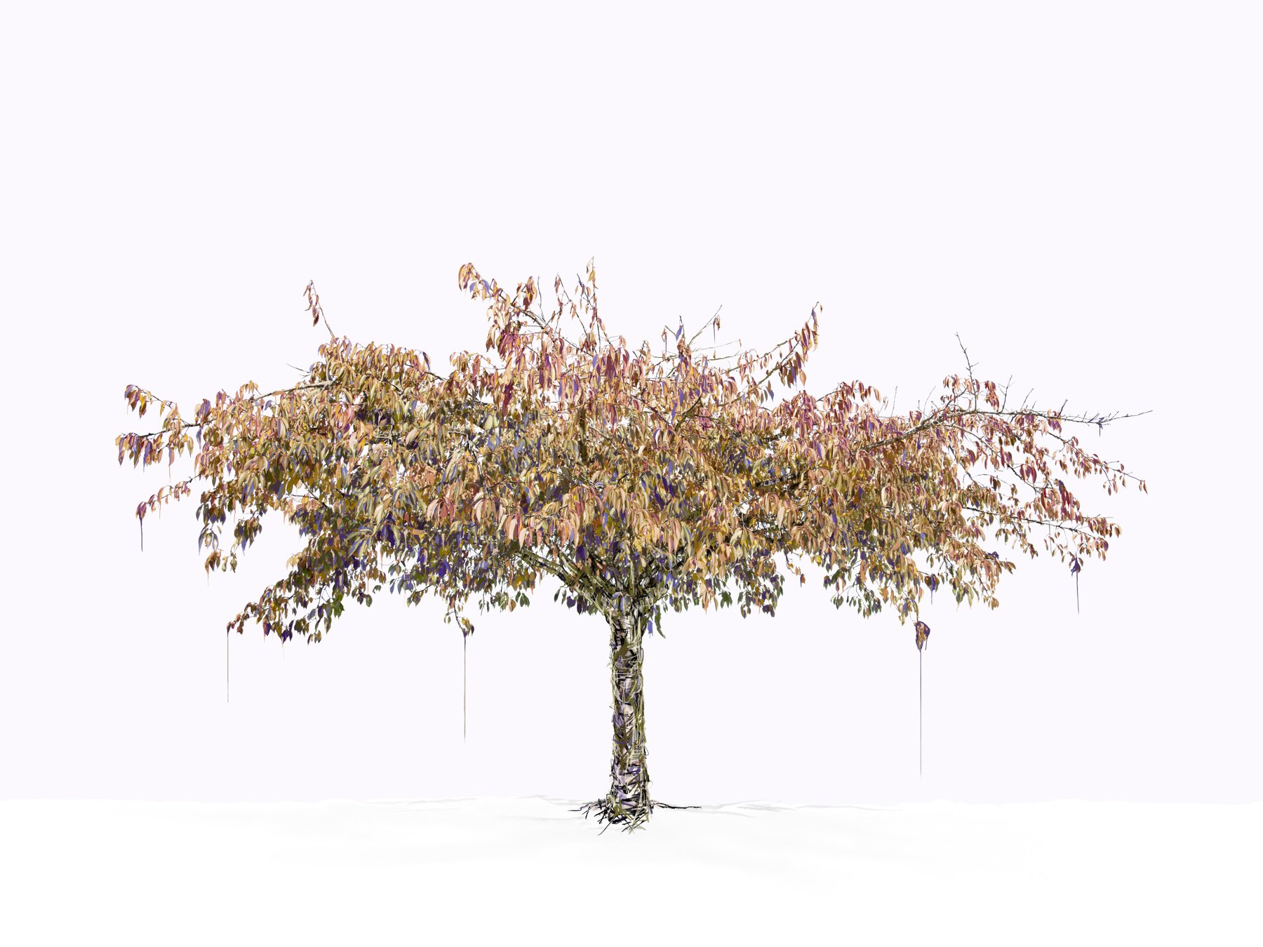 Beyond Rouge and Reading In-between the Lines
Digital Composite Archival Ink Pigment Print
Editions at 42x56,36x48,30x40,24x32 inches