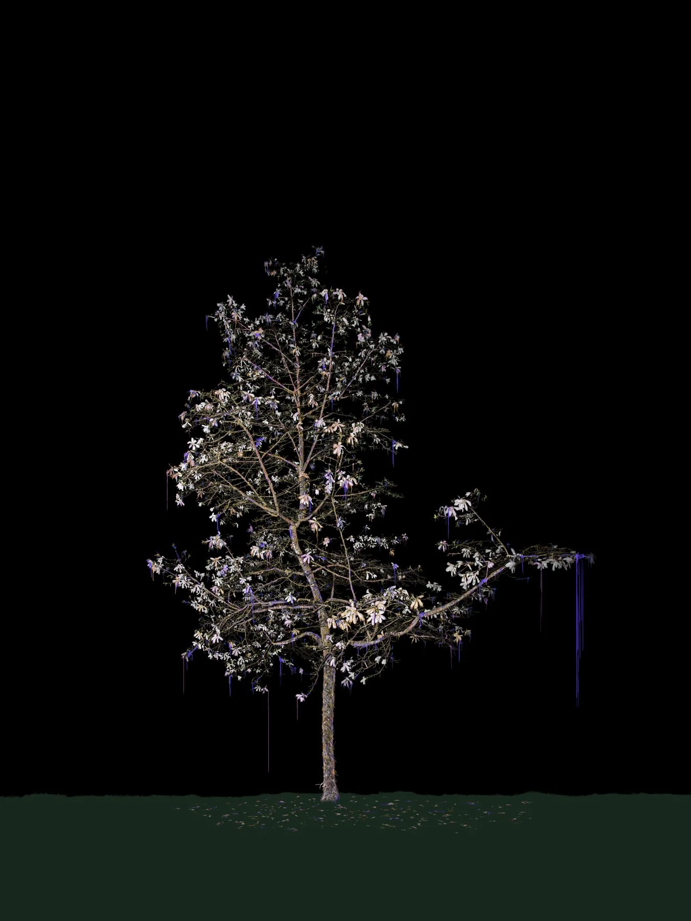 Where Did You Come From
Digital Composite Archival Ink Pigment Print
Editions at 56x42, 48x36, 40x30, 32x24 inches